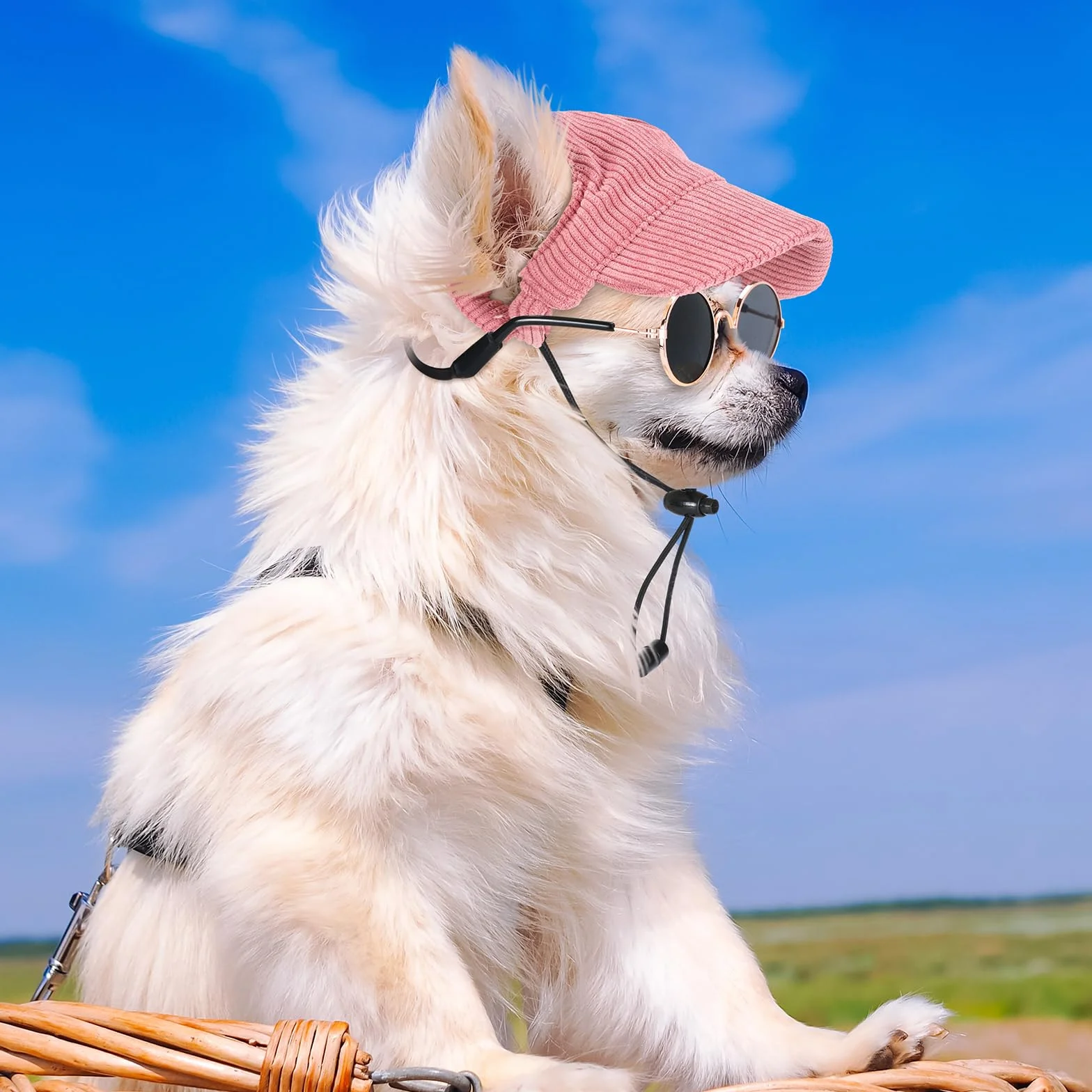 Jadive Casquette de Baseball pour Chiens Chat Lunettes de Soleil avec Silicone Antidérapant Chapeau de Soleil Réglable avec Trous pour Oreilles Coiffe de Plage pour Chiots(Rose,Petit)