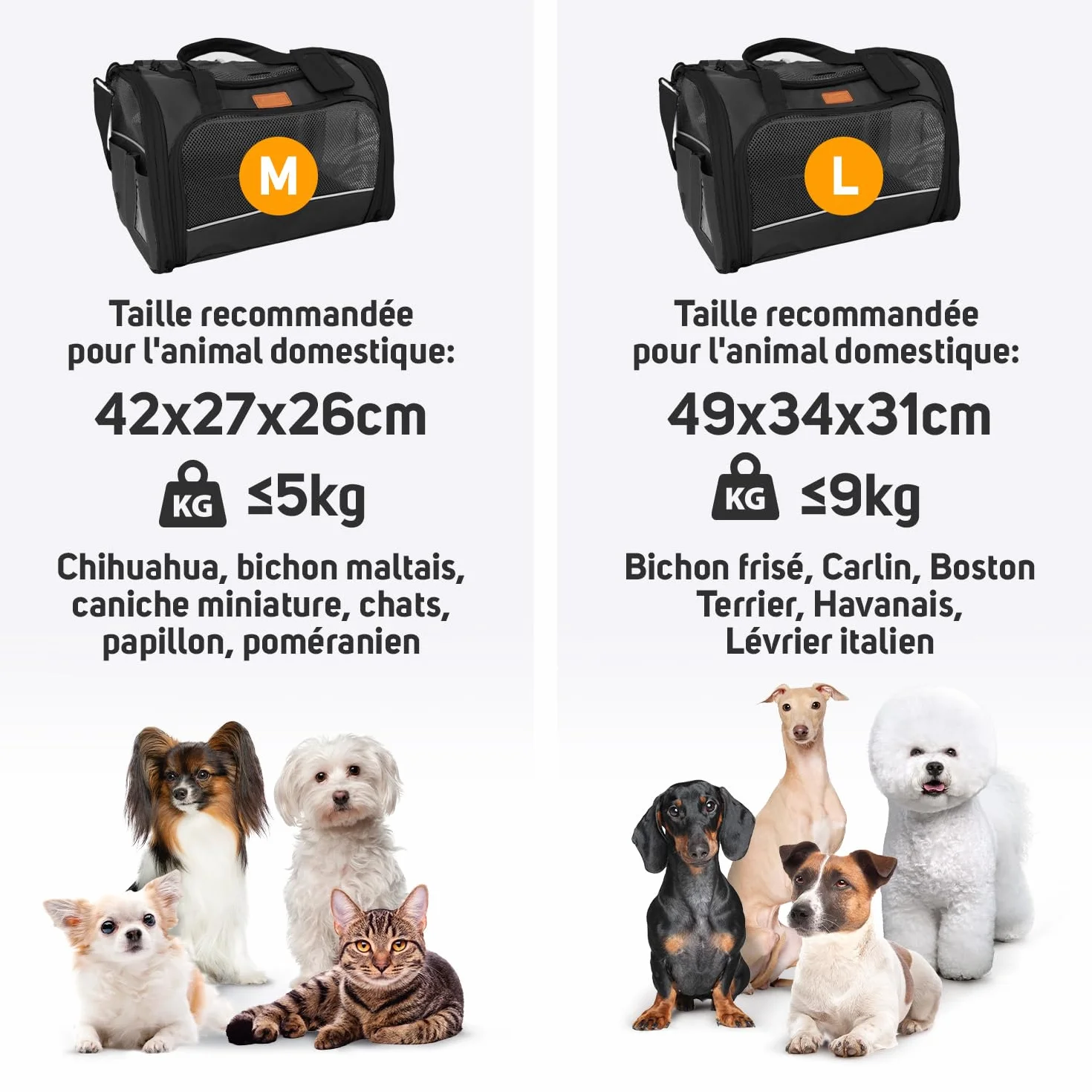 PETPROVED Caisse de Transport Chien Chat Sac de Voyage Pliable Cage L Noir