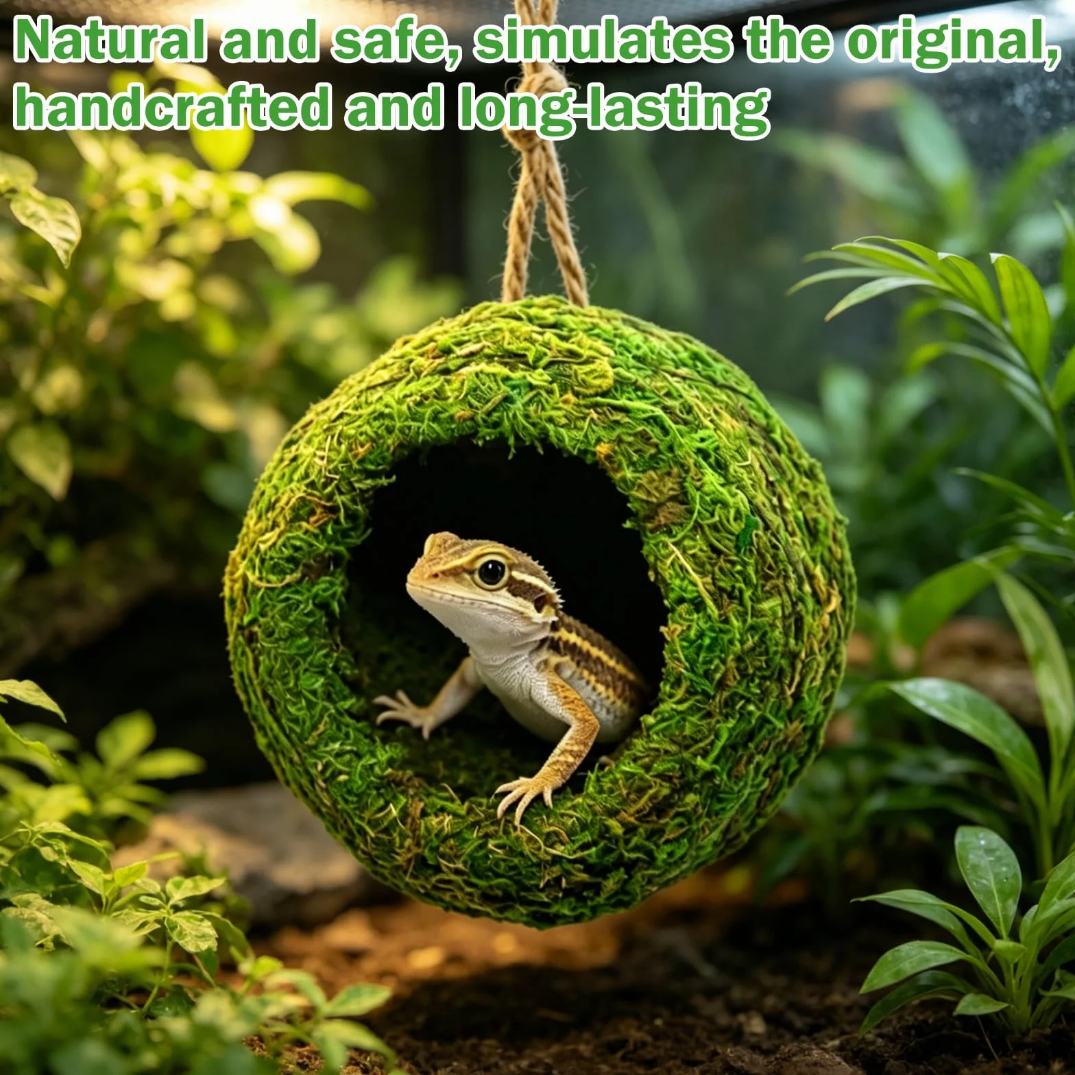 Abri Suspendu Naturel Hamac Fait Main pour Terrarium Gecko Dragon Barbu Serpent Petits Reptiles