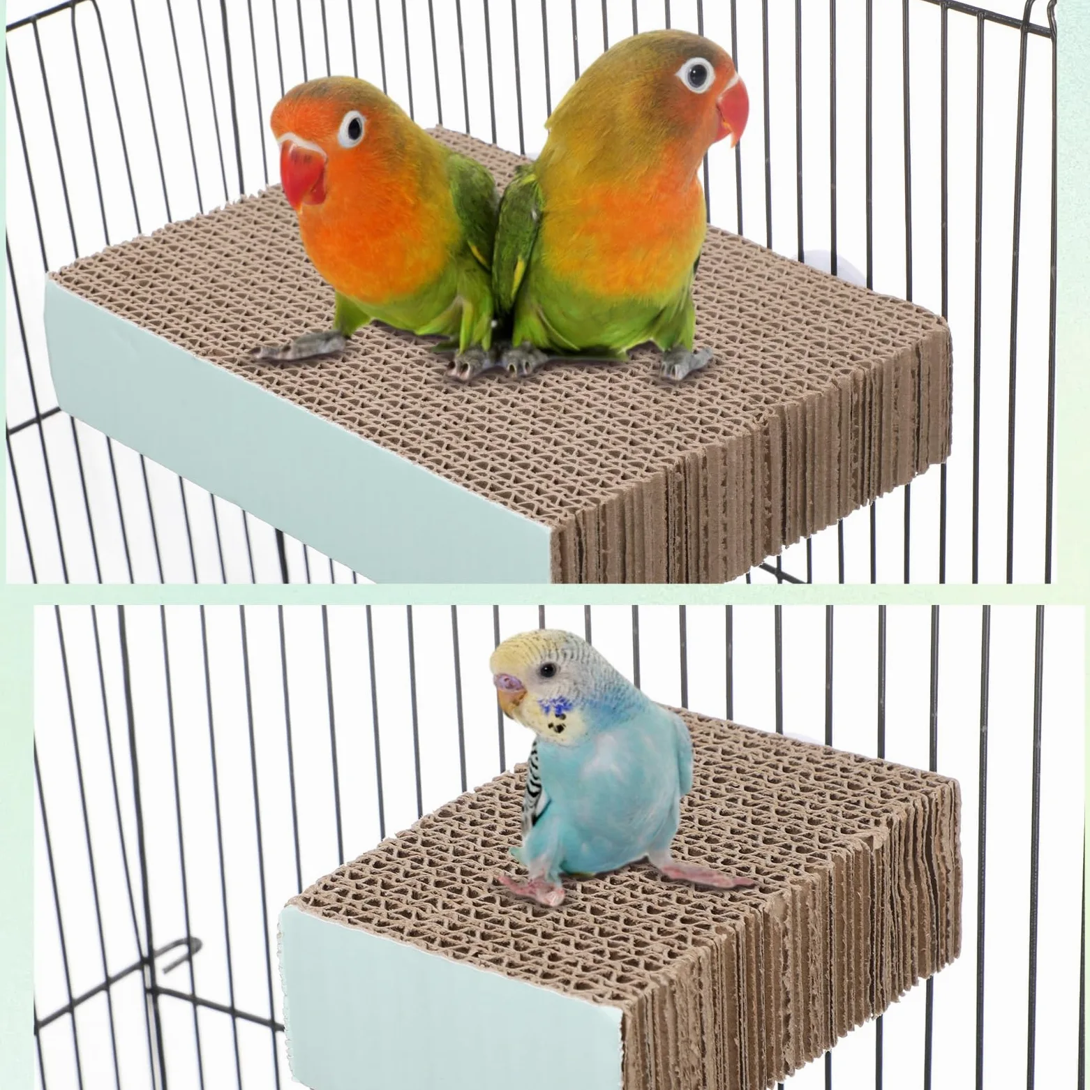 Nuanchu Lot de 6 perchoirs à oiseaux en carton pour perroquet, plate-forme de meulage de pattes d'oiseaux, cage à perroquet, moineau, perroquet, perruche, calopsitte, inséparable