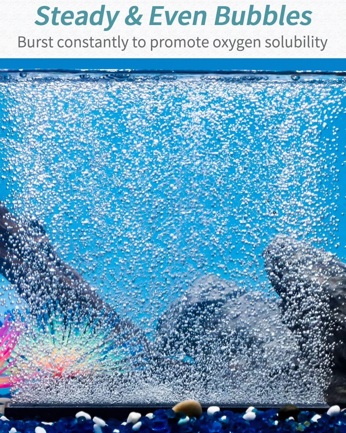 Pawfly Barre diffuseur de bulles aquarium 20 cm pierre à air avec ventouse