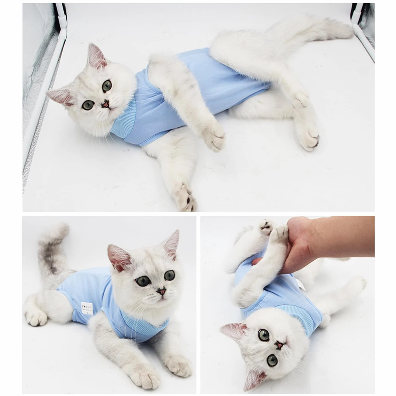 Combinaison de Récupération Anti Léchage pour Chat - Protection Plaies Abdominales (Medium, Rose)