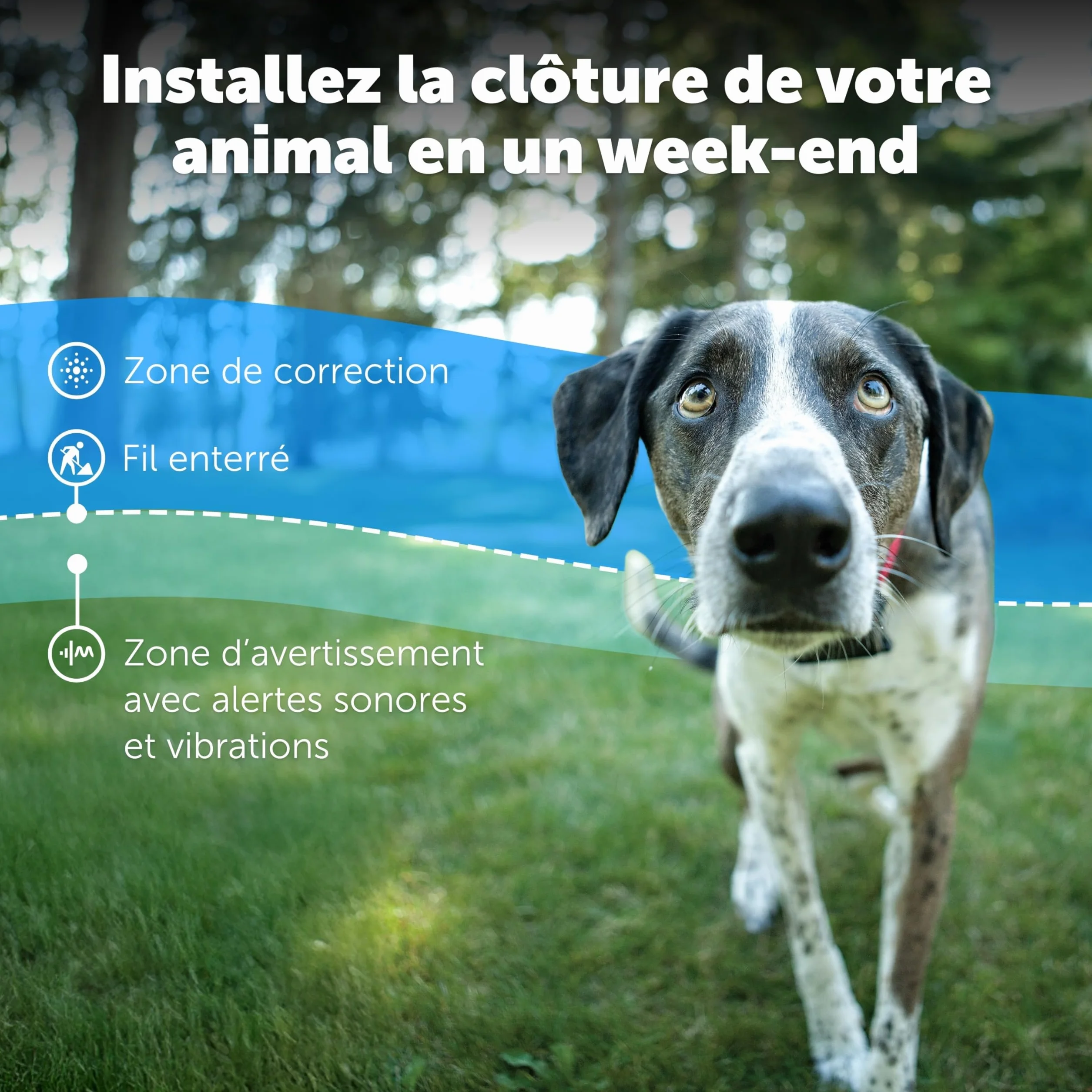 PetSafe Système de clôture enterré pour Chiens têtus Correction Statique Haute Intensité Modes Sonore Vibration Collier Ajustable Imperméable Design Évolutif