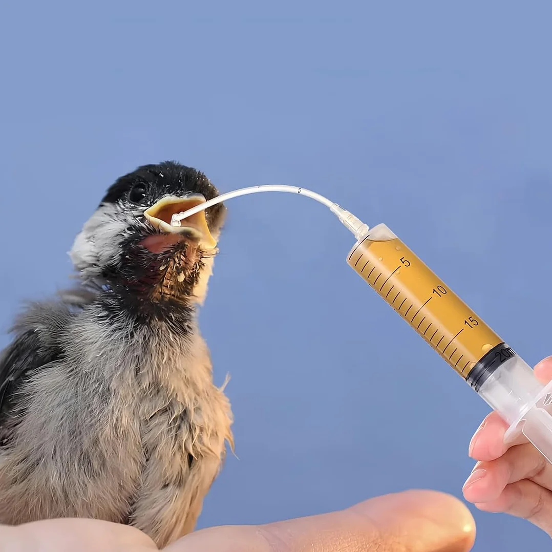 JEYORZY Sondes d'alimentation pour Oisillons, Seringue 10 ML, Bébé Oiseau, Tortue, Colombe Médicaments Liquides