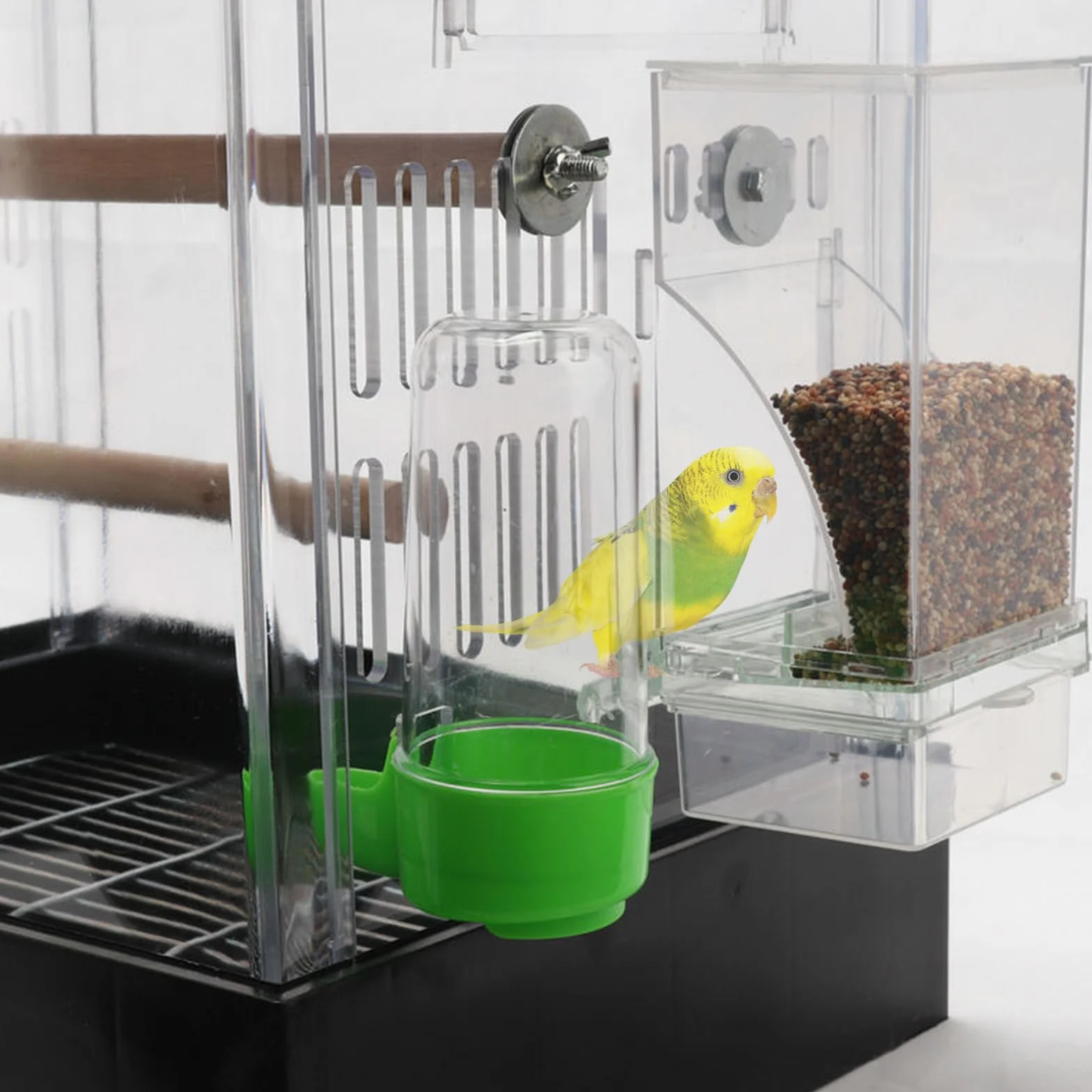 Mangeoire Automatique pour Oiseaux Transparent avec Bac de Récupération des Graines