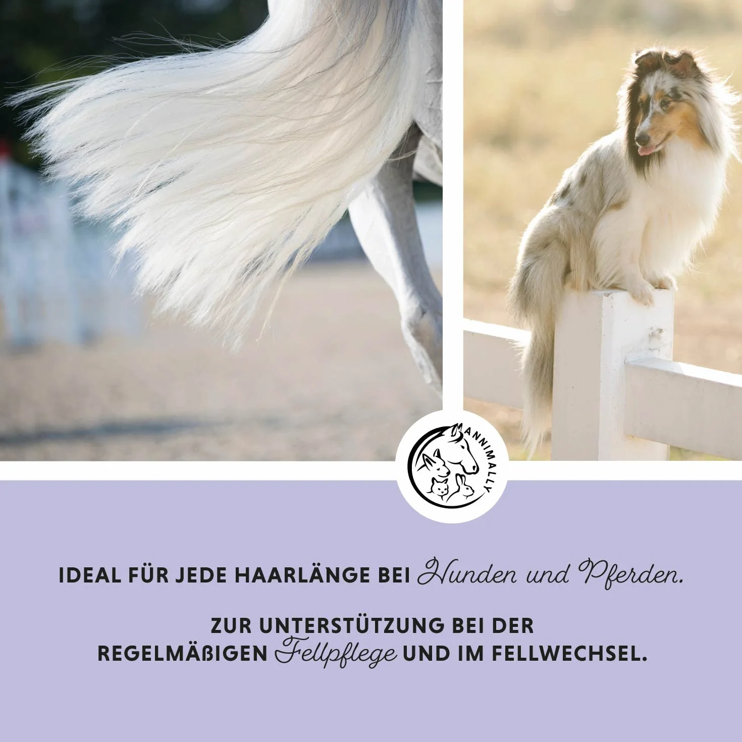 Spray pour crinière et queue démêlant pour chevaux 500ml - Démêlant pour chiens, brossage facilité, pelage soyeux