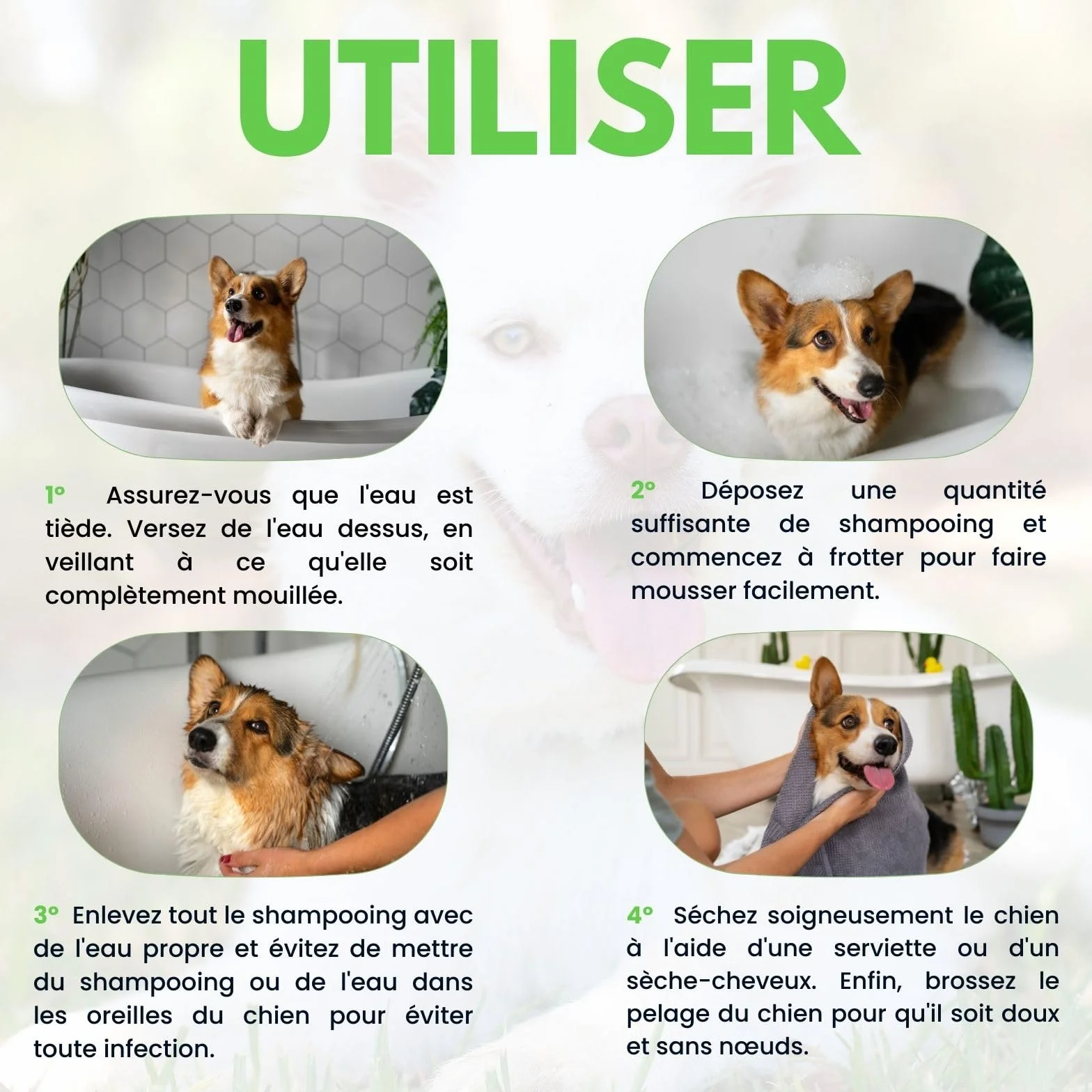 Plantawa Shampooing pour Chien à l'Aloe Vera 1L Peau Sensible Anti-Irritation Vegan
