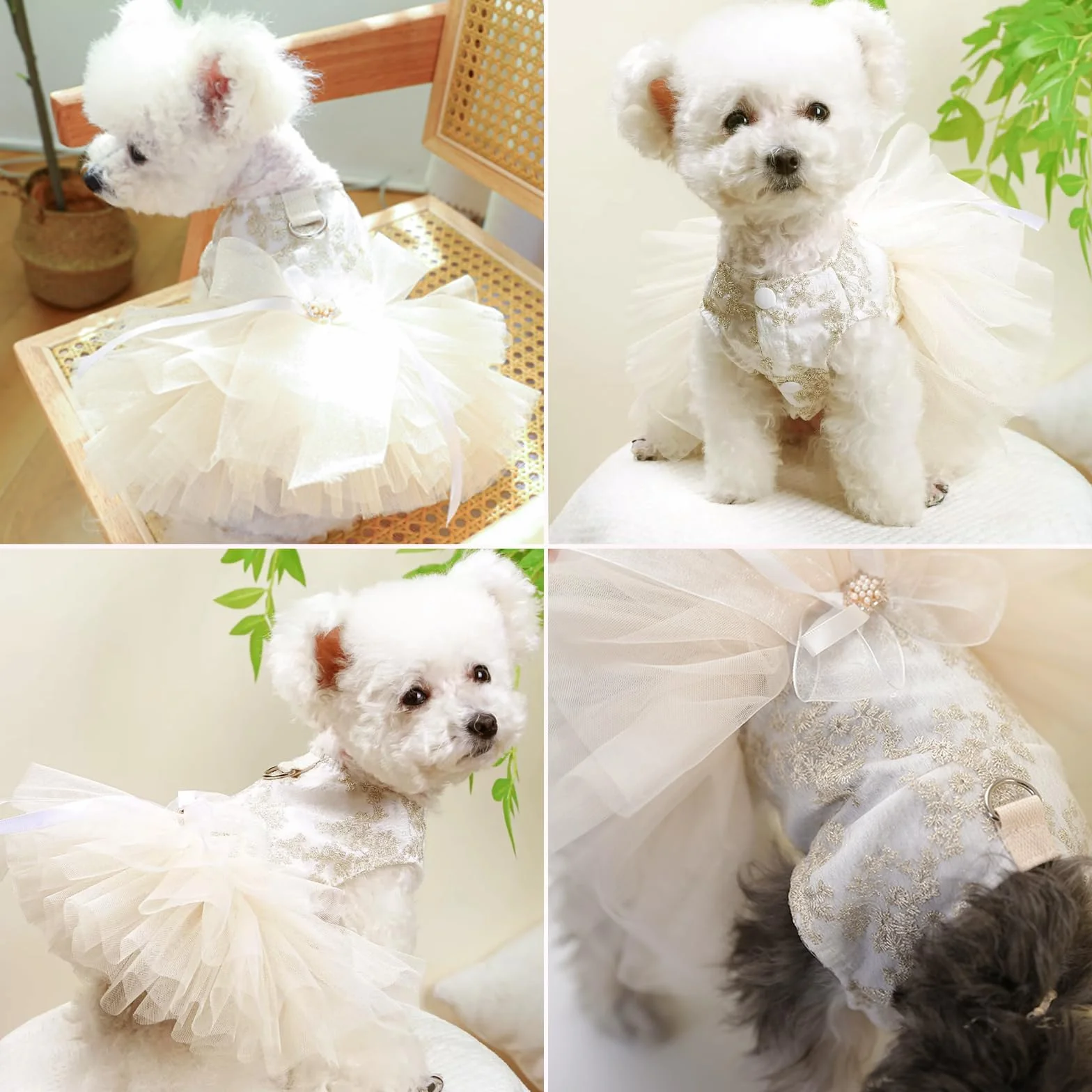 Robe de Mariage de Luxe pour Chien Dentelle Arc Blanc Princesse Tenue de Cérémonie