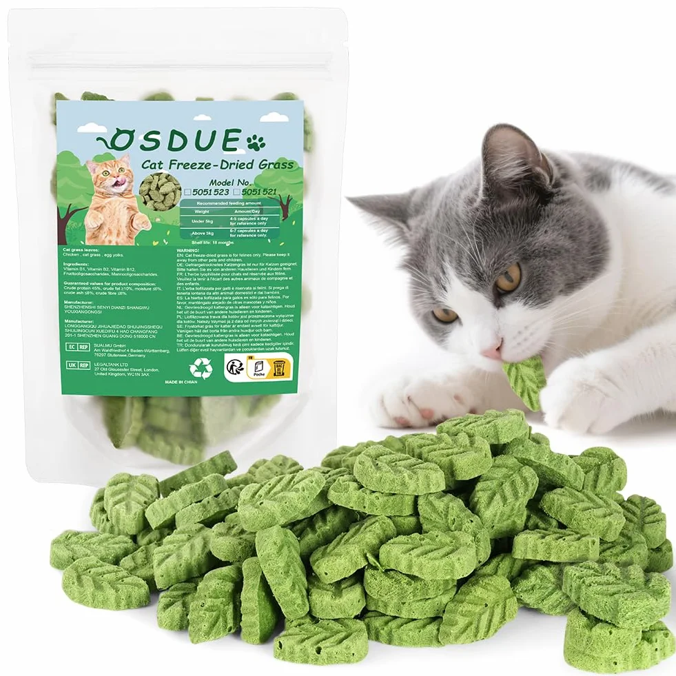 Bâton d'herbe à Chat 100g Feuilles lyophilisé Comestible Nettoyage des Dents Élimination des Boules de Poils pour Chat