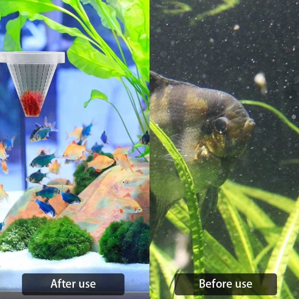 DONGKER Aquarium Cone Feeder avec Ventouse pour Poissons