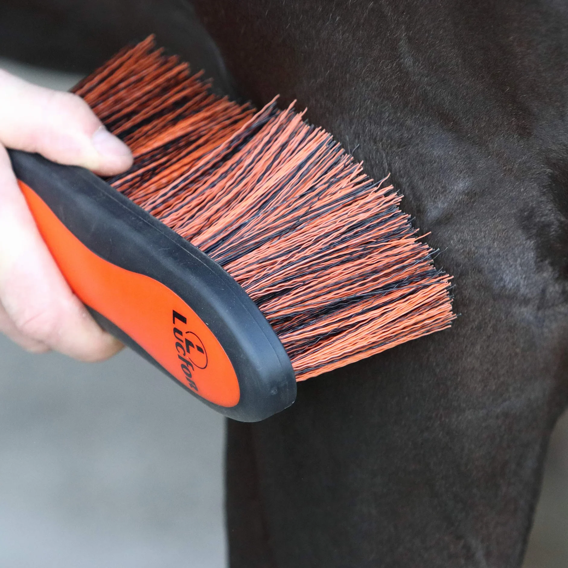 Brosse à racines douce pour chevaux à poils longs