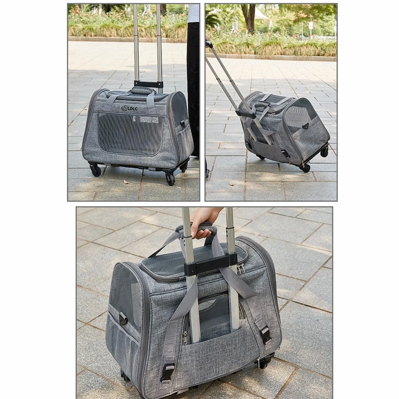Sac de Transport pour Chat avec Roulettes 2 en 1 Sac à Dos pour Chiens, Visites Vétérinaires, Voyage