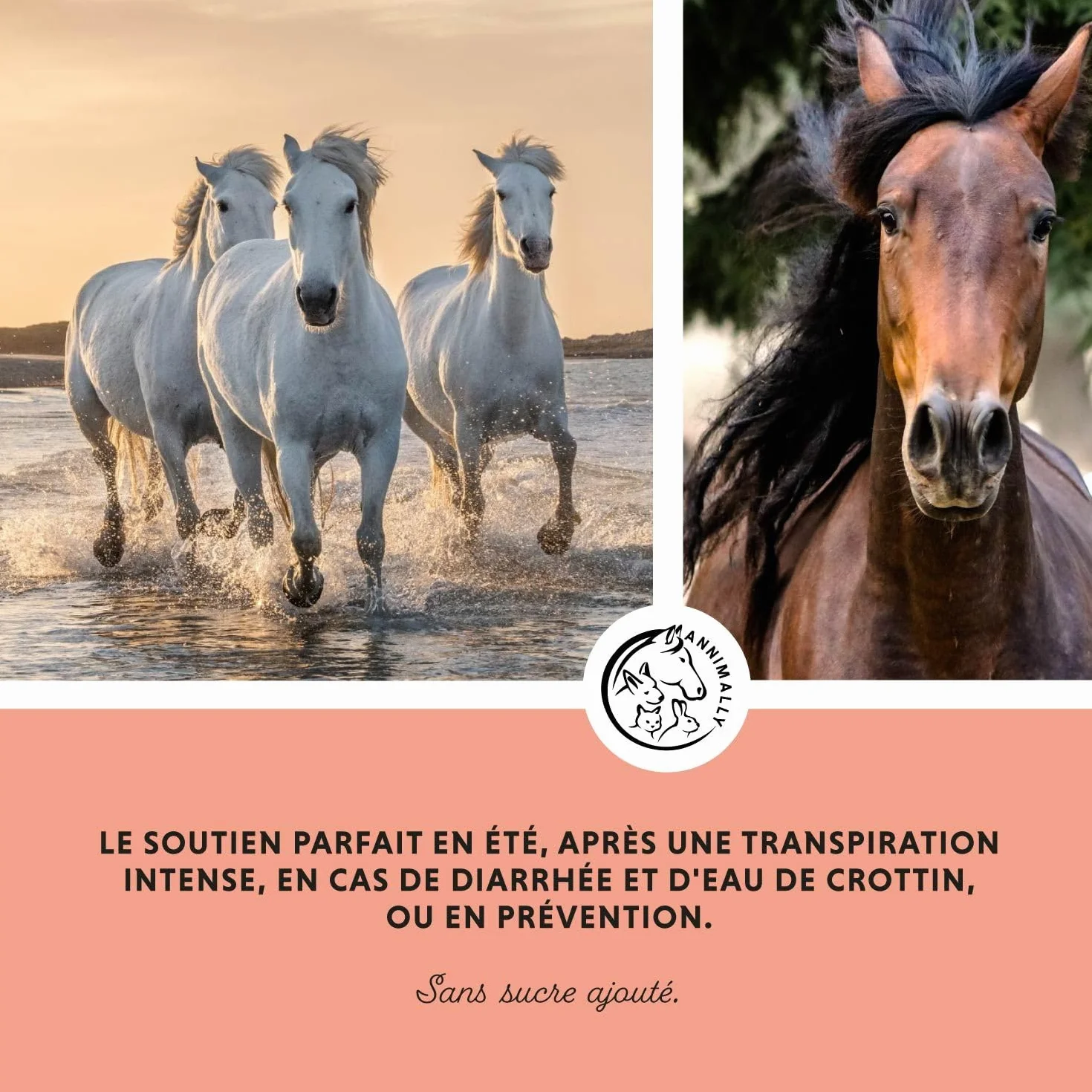 Annimally Électrolytes Liquides pour Chevaux 1000ml Sodium Potassium Acerola Calcium Magnésium Vitamine B sans Sucre