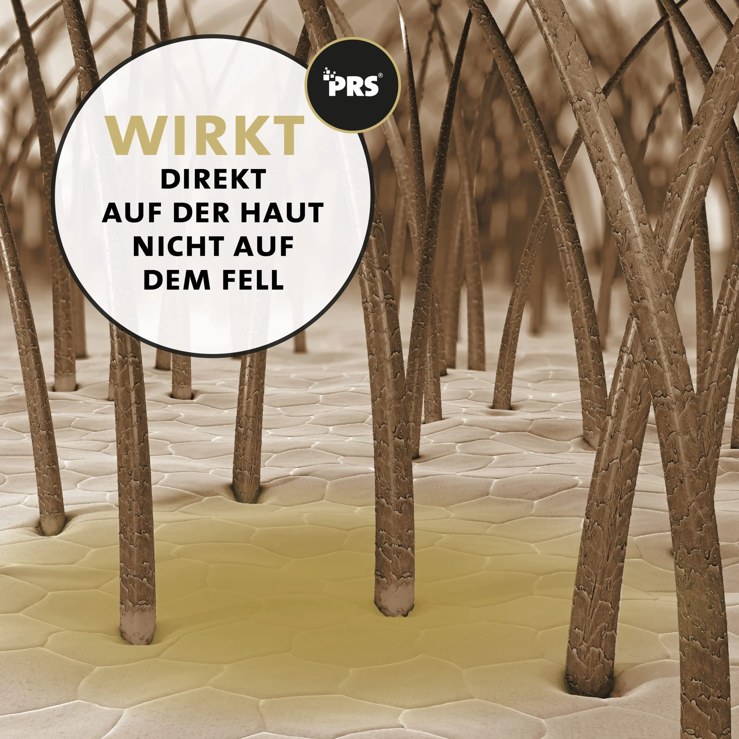 Peticare Cheval Pommade Spéciale Soins Croûtes Plaies Dermatite Estivale Eczéma