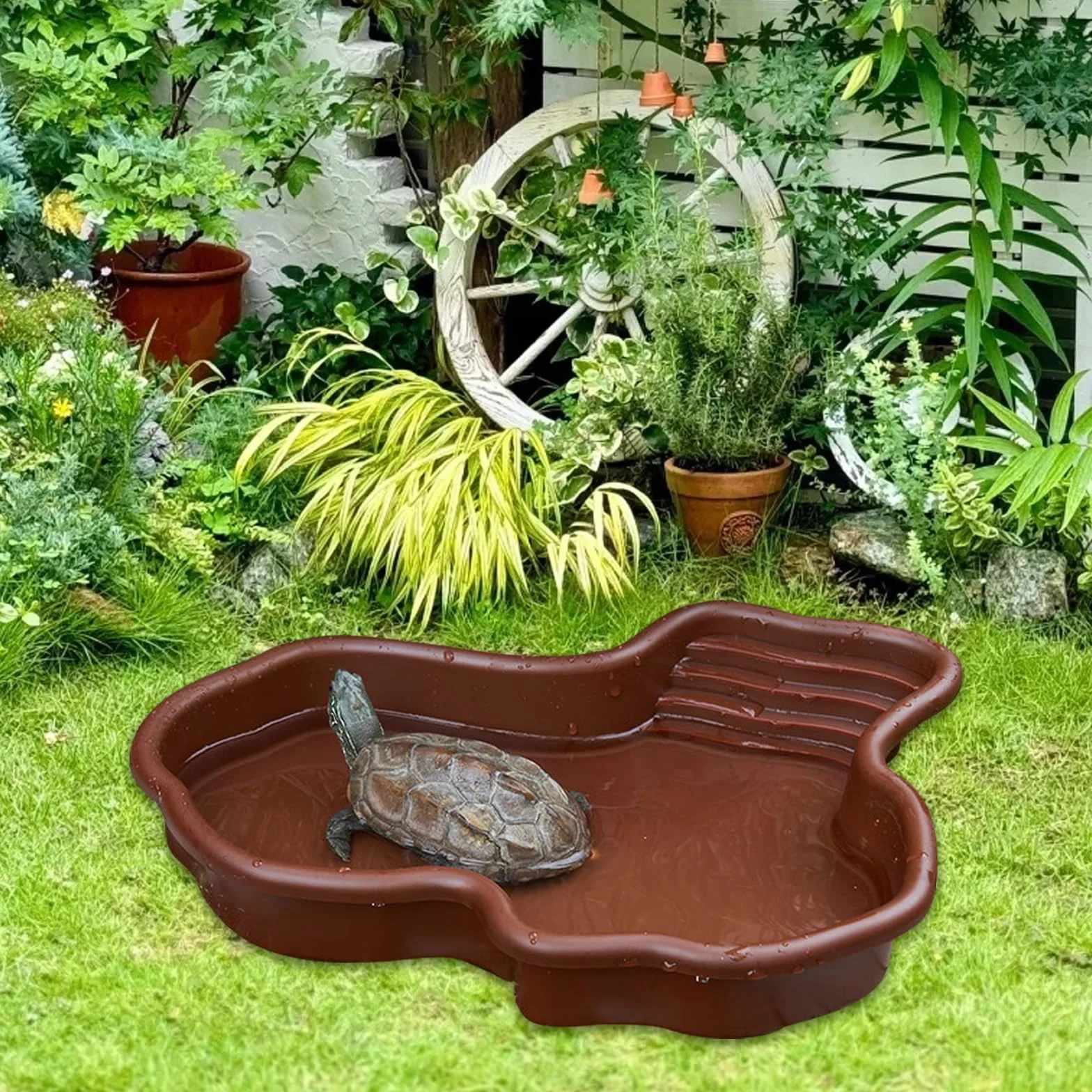 Bac de Bain pour Reptiles 31x25x5cm, Grand Bol d'Eau pour Tortues, Lézards et Geckos