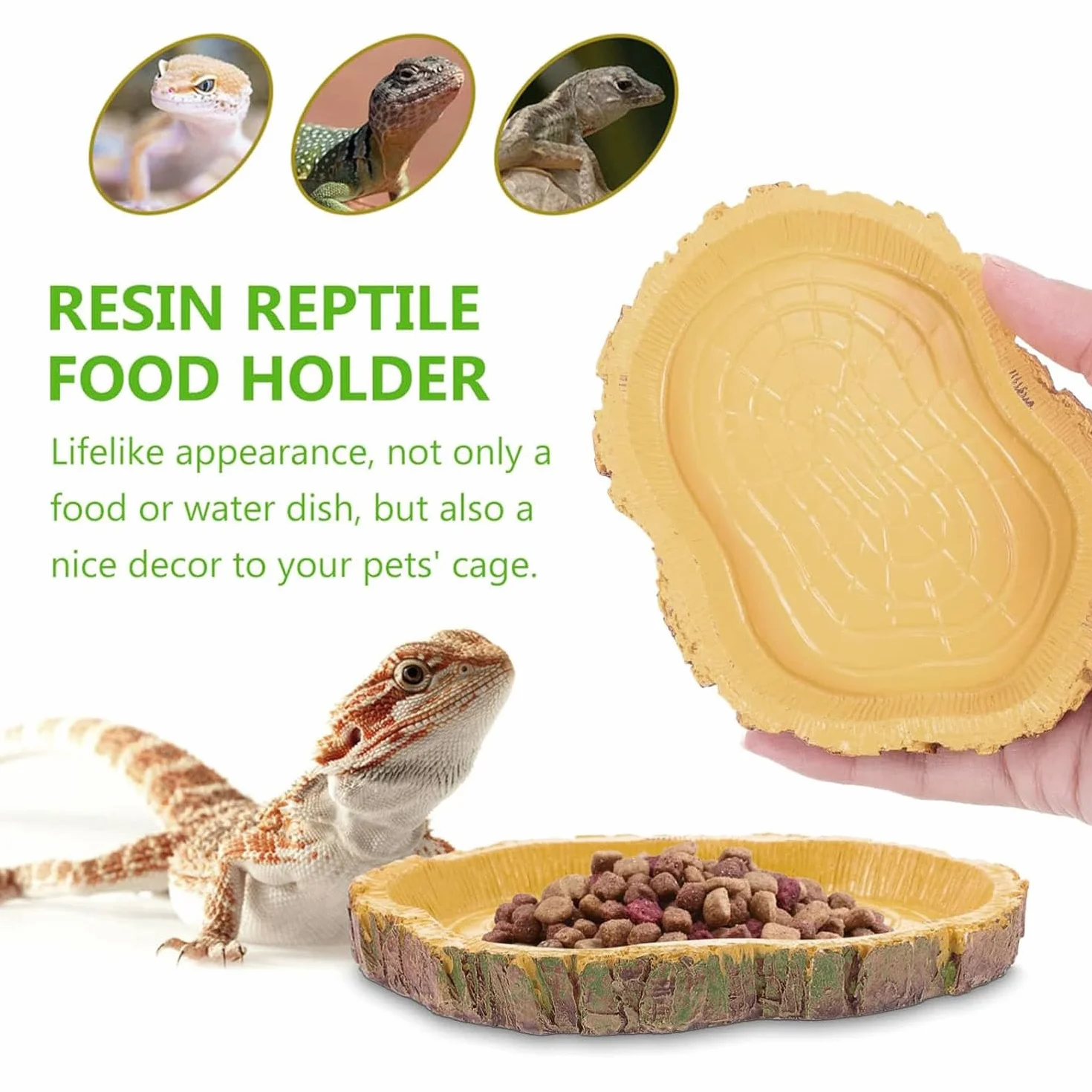Gamelle Tortue Terrestre Bols à Eau pour Reptiles Abreuvoir 2 Pièces