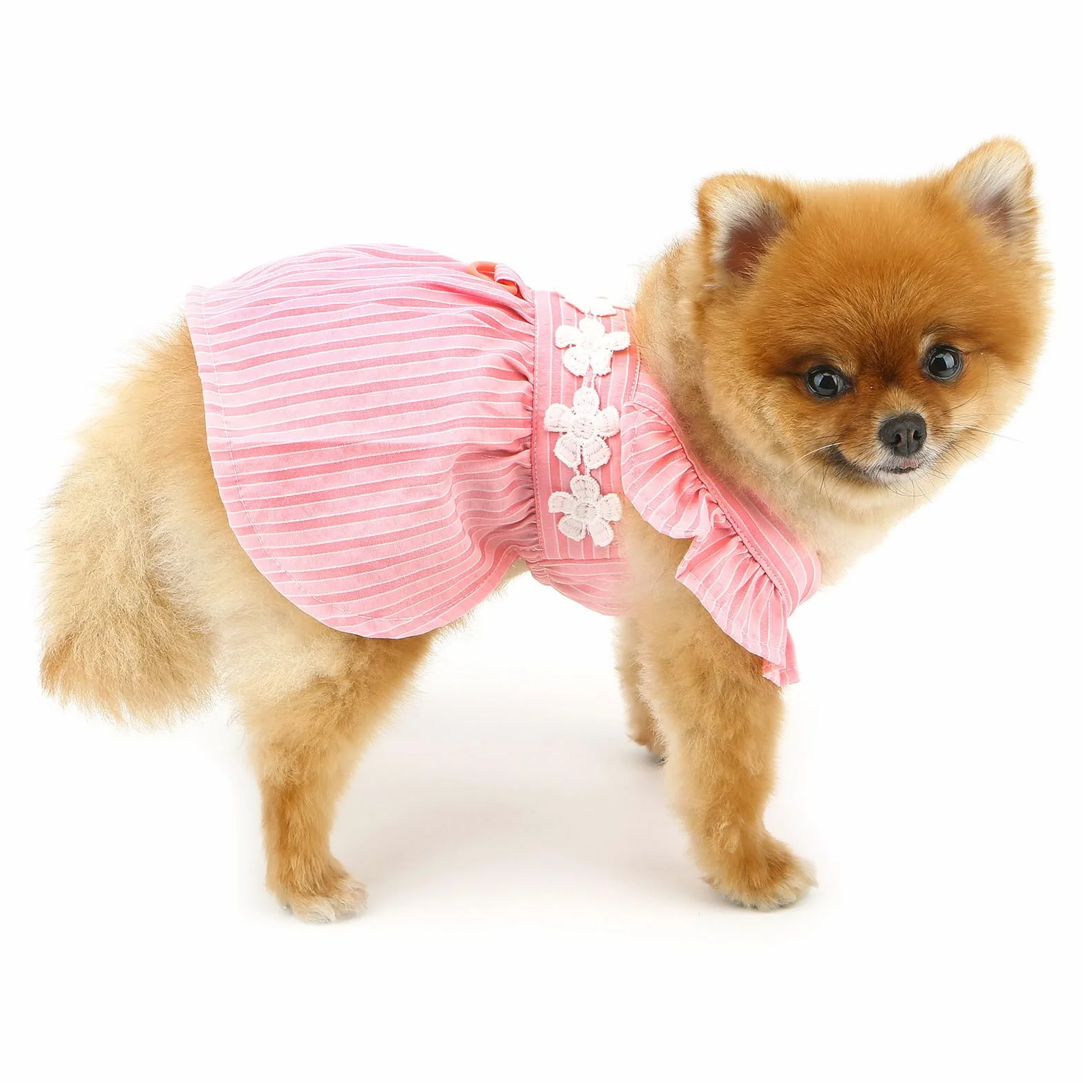 PAIDEFUL Robe d'été élégante pour petit chien Jupe rayée avec broderie florale Costume pour chat et chihuahua