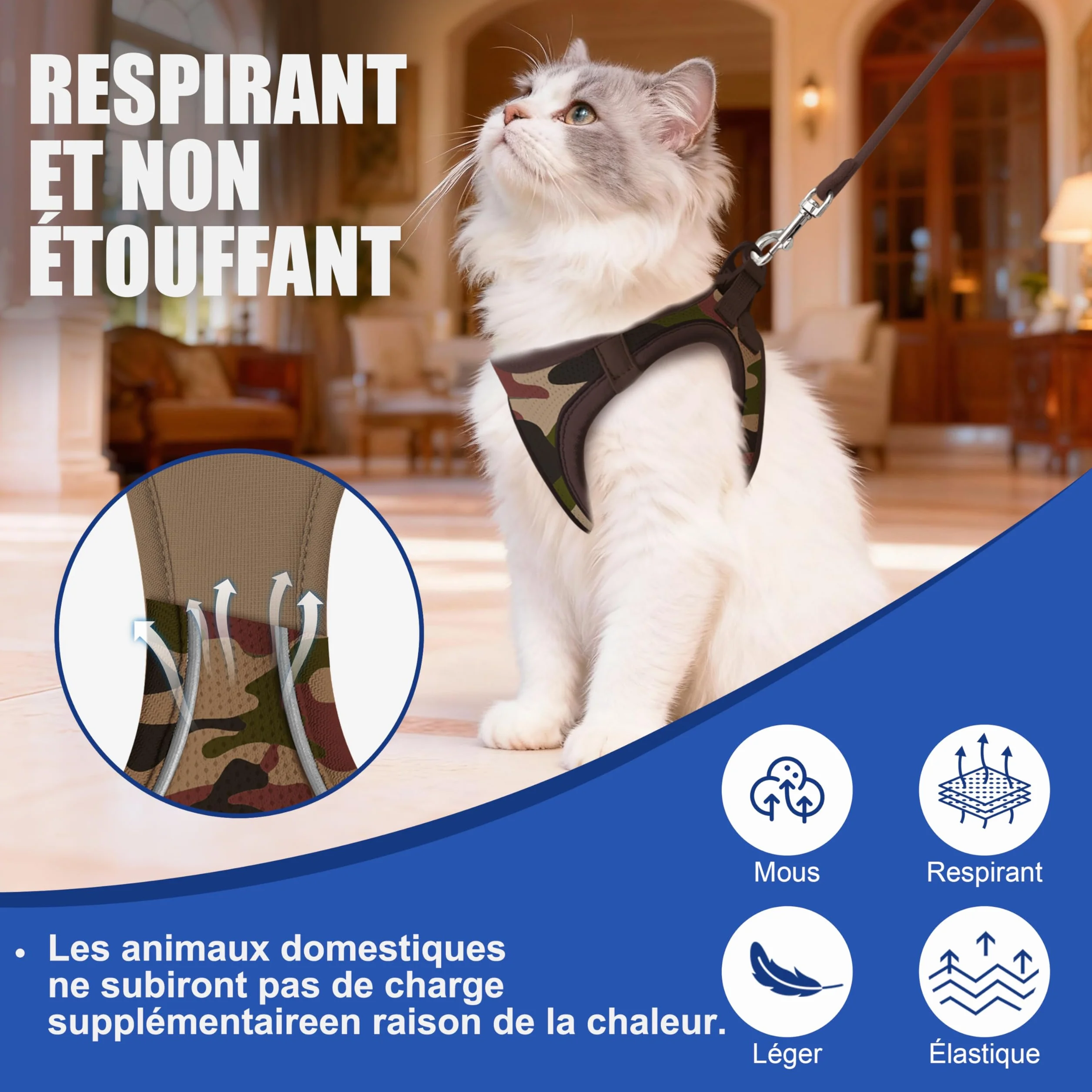 Harnais Chat Petit Chien Laisse 255cm XXS Anti-Fuite Maille Air Mesh Camouflage