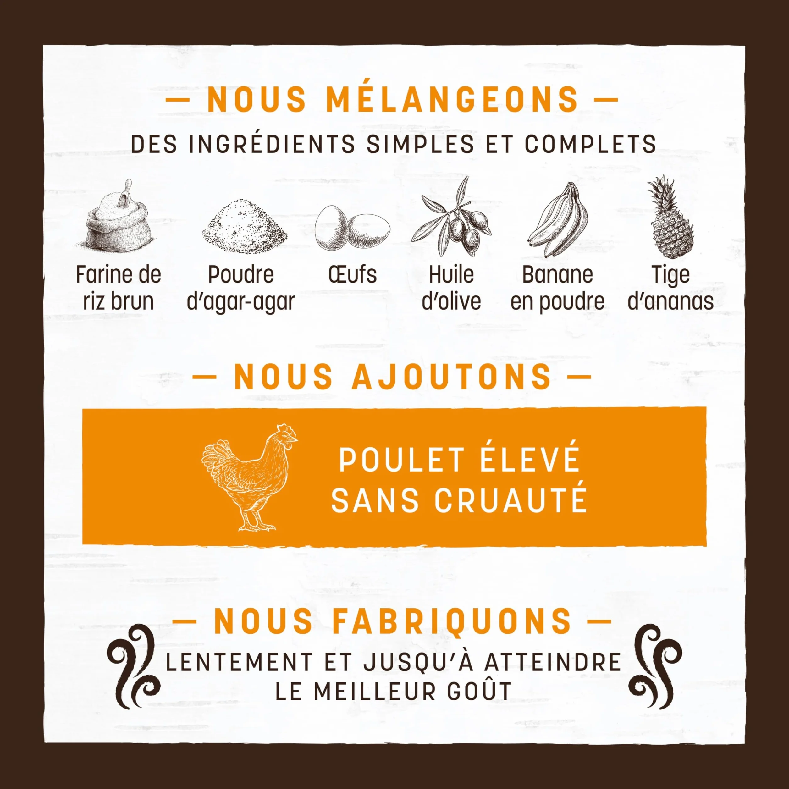 EARTH ANIMAL No Hide Stix Friandises Poulet Naturelles sans Cuir Brut Longue Durée Chiens Petite Race