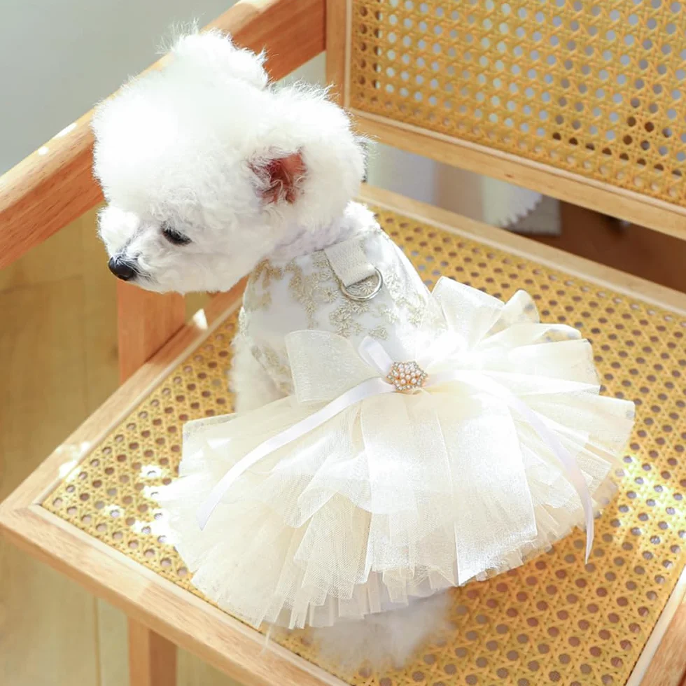 Robe de mariée brodée pour Chien avec Anneau pour Laisse, Tutu en Dentelle Multicouche, Taille M, Champagne