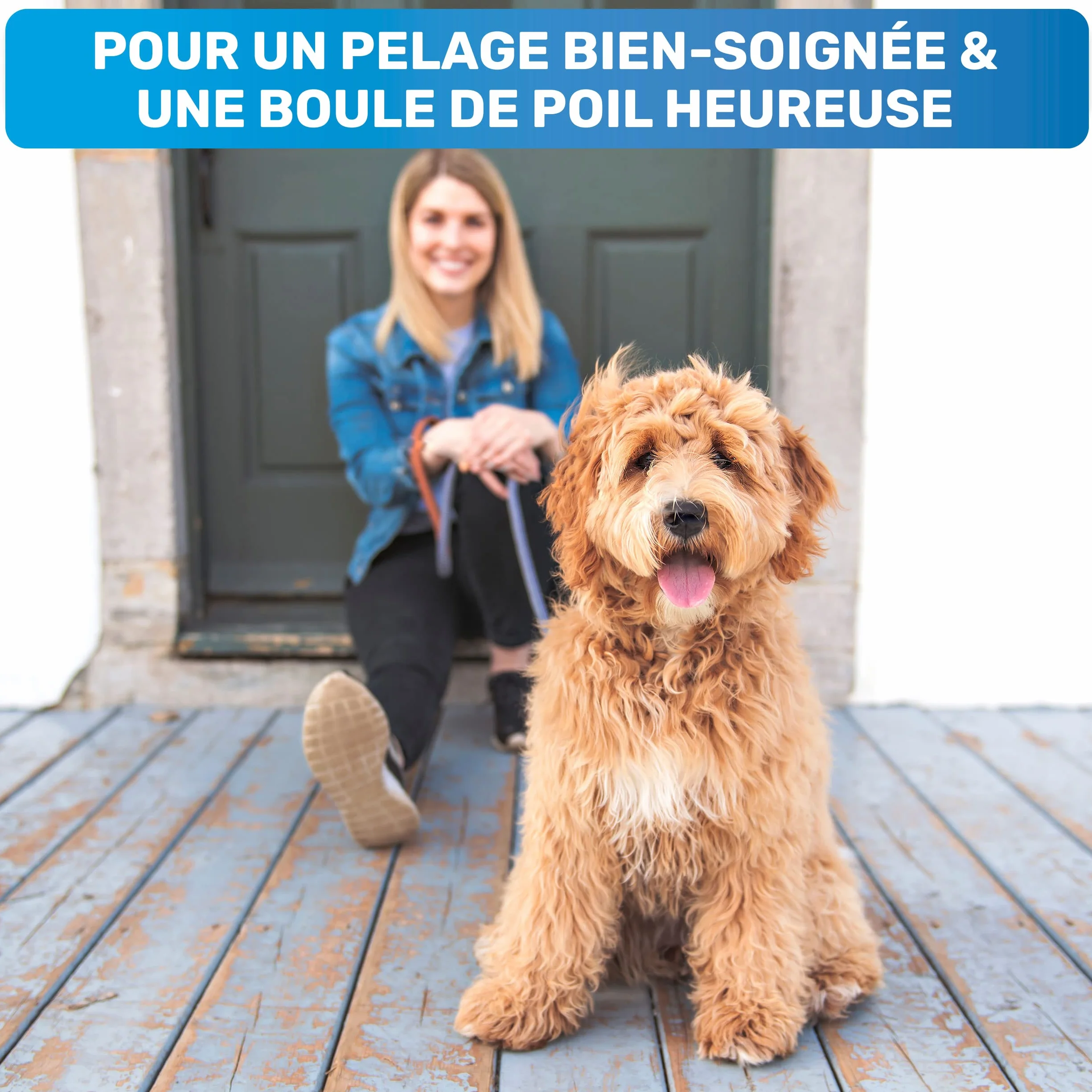 BluePet Brosse Chiens Chats Poil Long Peigne Démêlage Professionnel Sous Poil Nœuds Étrille Démêlant Râteau Toilettage
