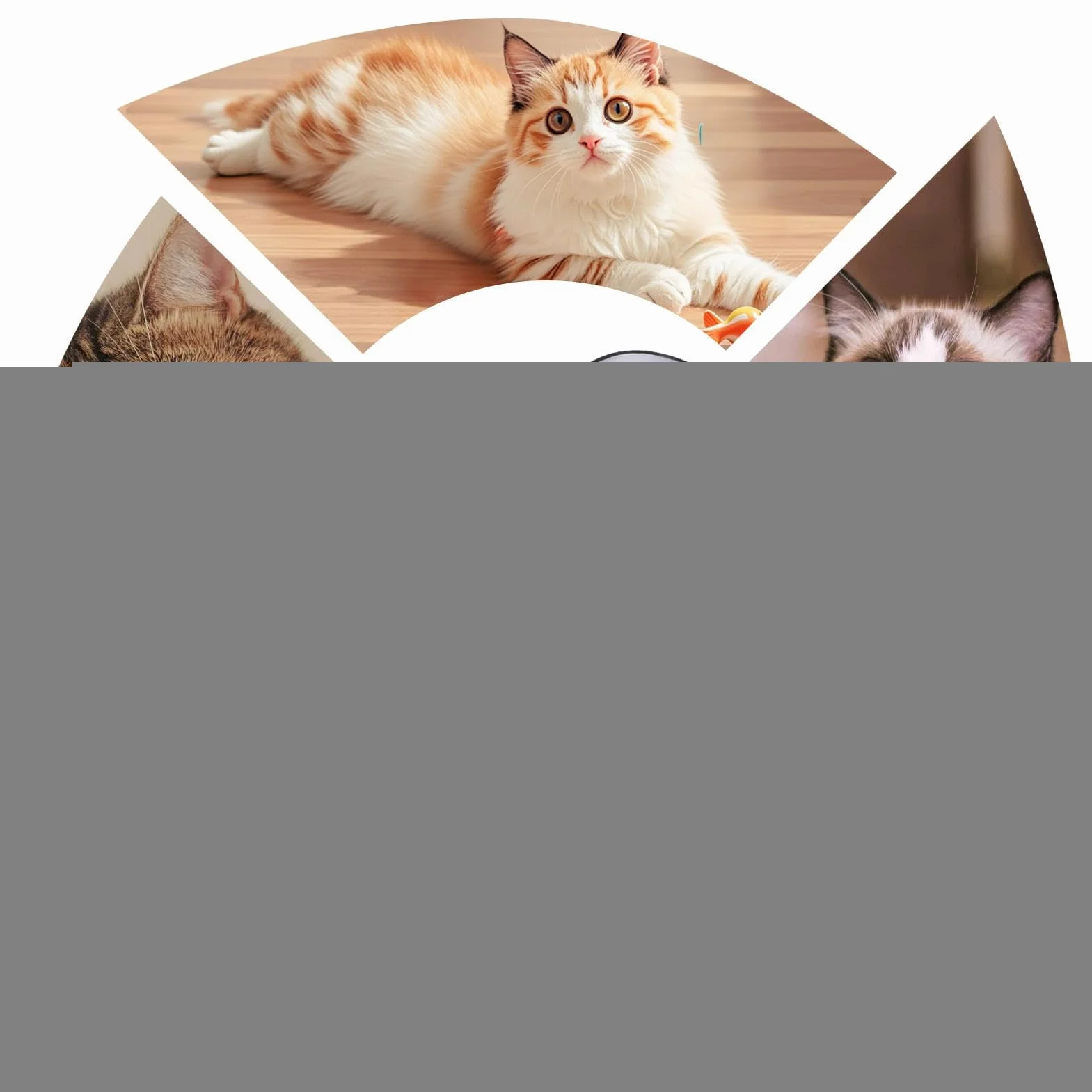 Parc d'Extérieur pour Chats, Enclos Pliable pour Chien et Chat avec Tunnel - Tente Maison Interractive pour Chaton Chiot