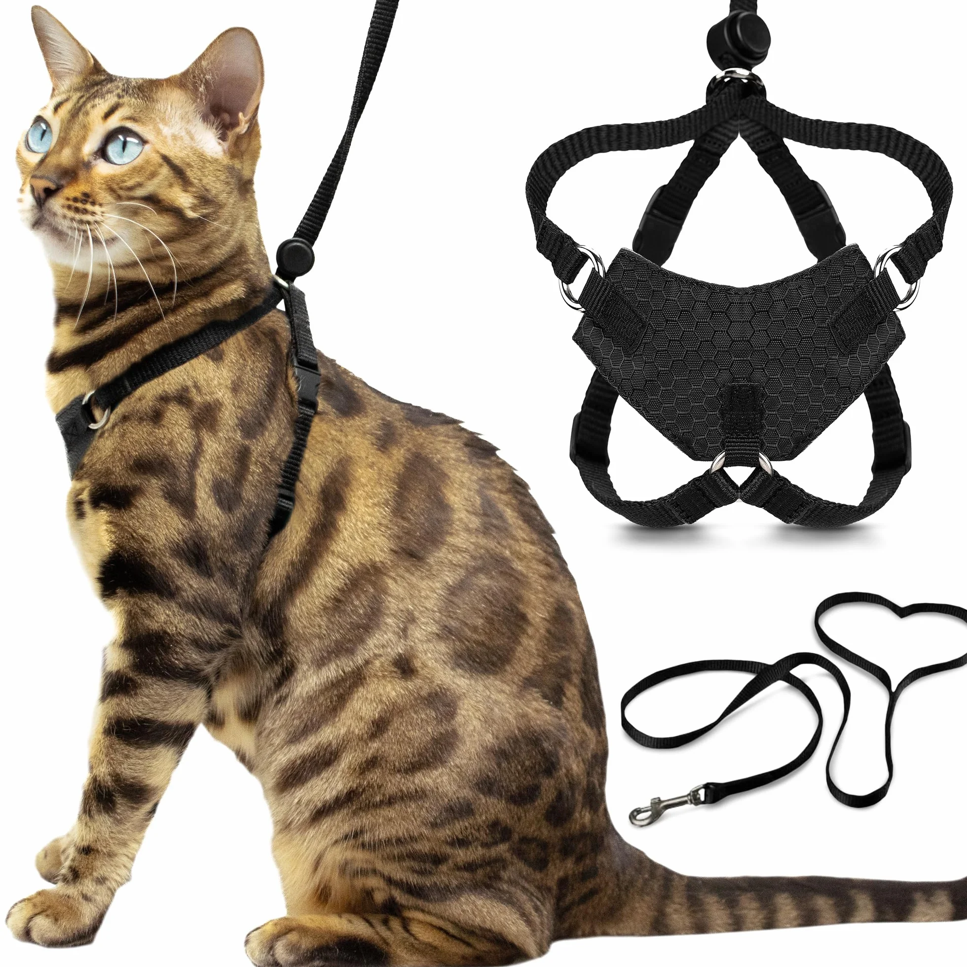 OutdoorBengal Houdini Harnais et Laisse pour Chaton résistant à l'évasion S