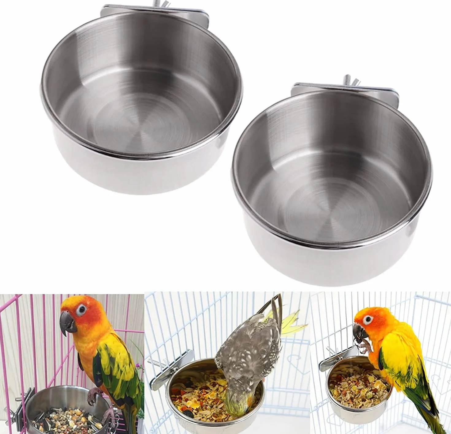 Bol d'alimentation pour Oiseaux Mangeoire Perroquet en Acier Inoxydable 10cm