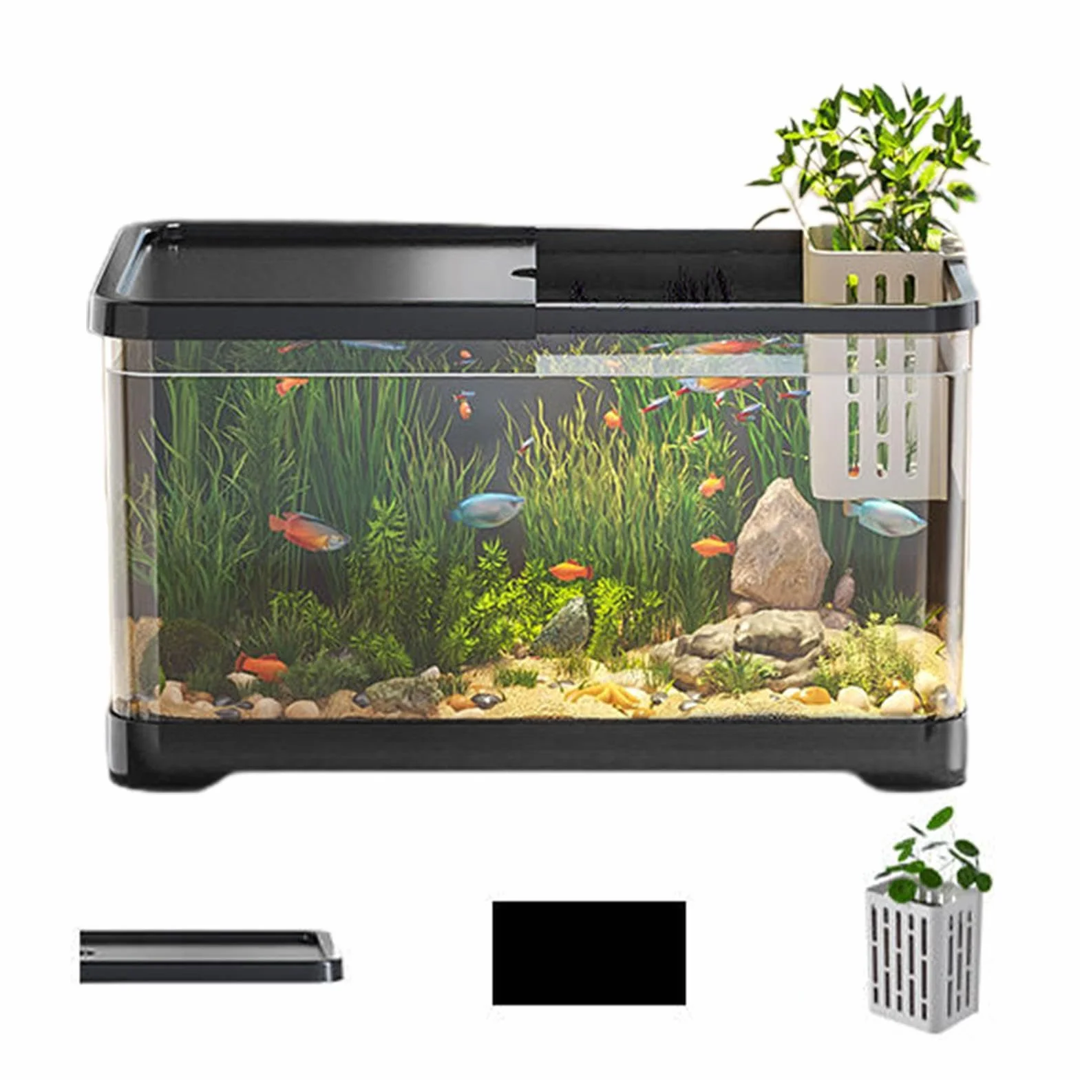 Kit de Démarrage d'Aquarium Polyvalent - Pour Poissons Rouges, Guppy - Petit Ensemble Décoratif d'Eau Salée
