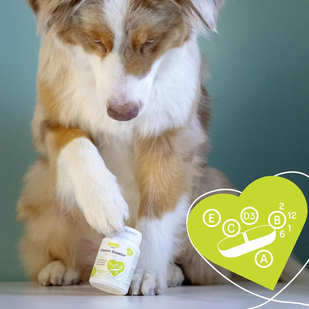 GRAU Vitamin Booster 60 pcs Aliment complémentaire pour Chiens et Chats