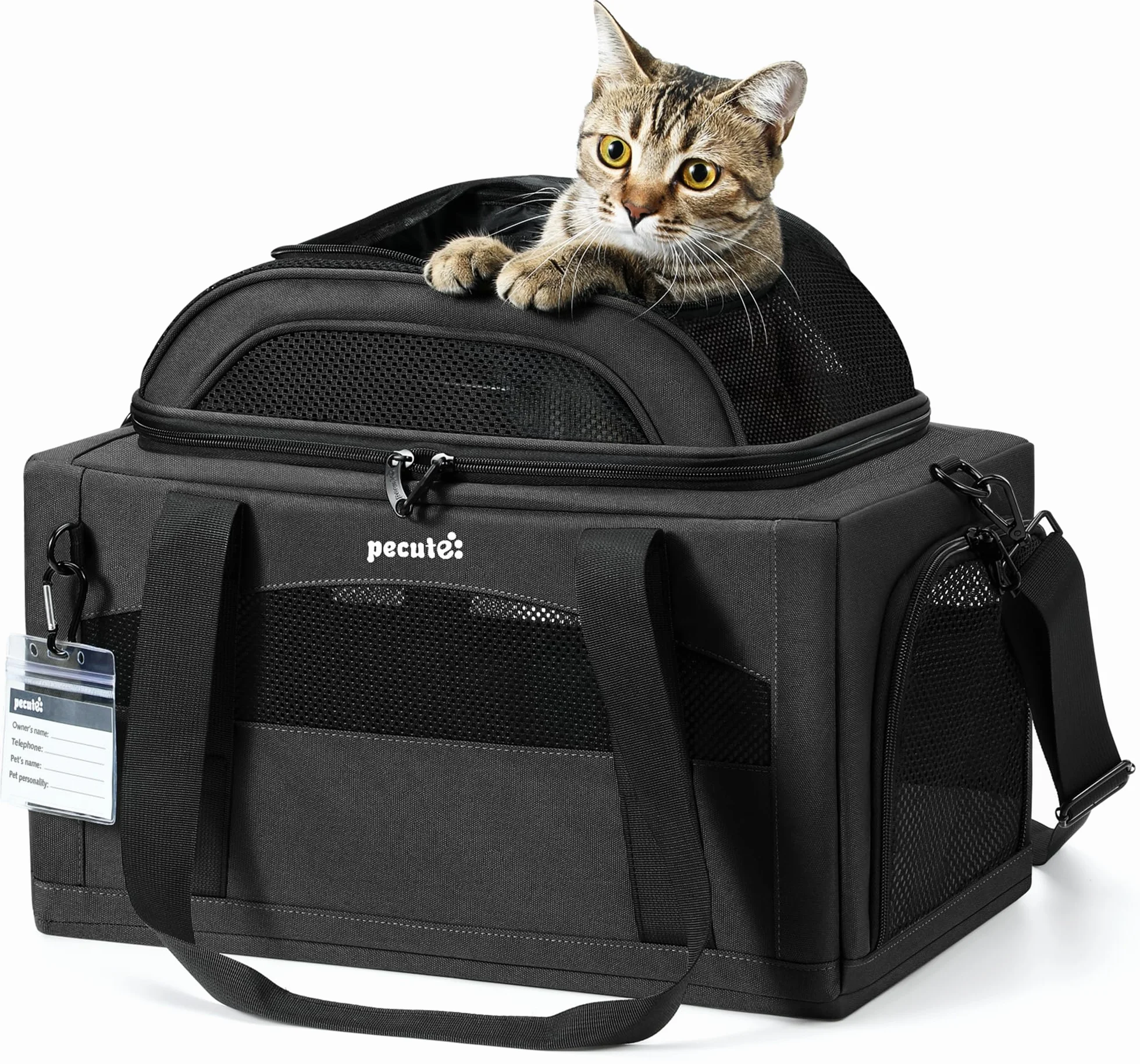 Pecute Sac de Transport pour Chat Extension Supérieure, Cadre Ultra Stable, Pliable, Gris Foncé