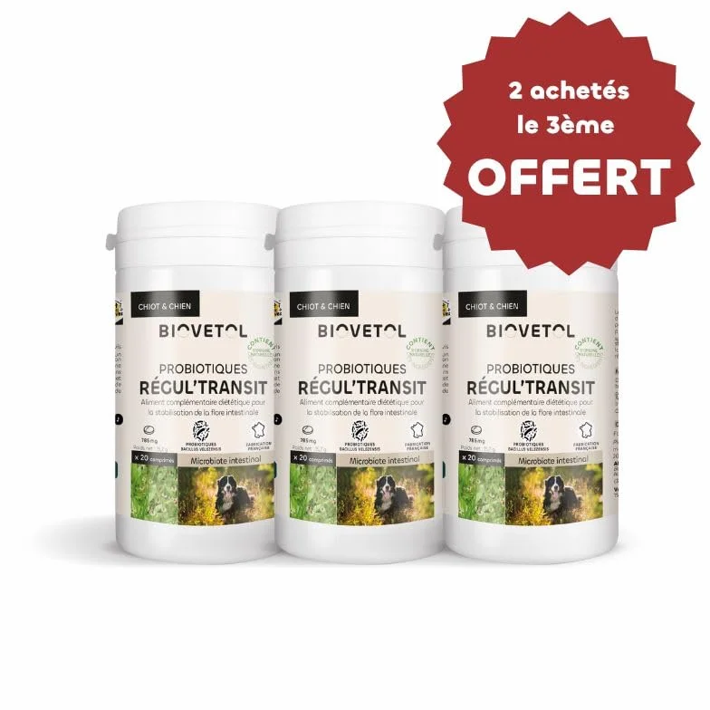 Biovetol Probiotique Comprimés Regul'Transit Complément Alimentaire Spécial Transit Chien Lot de 3
