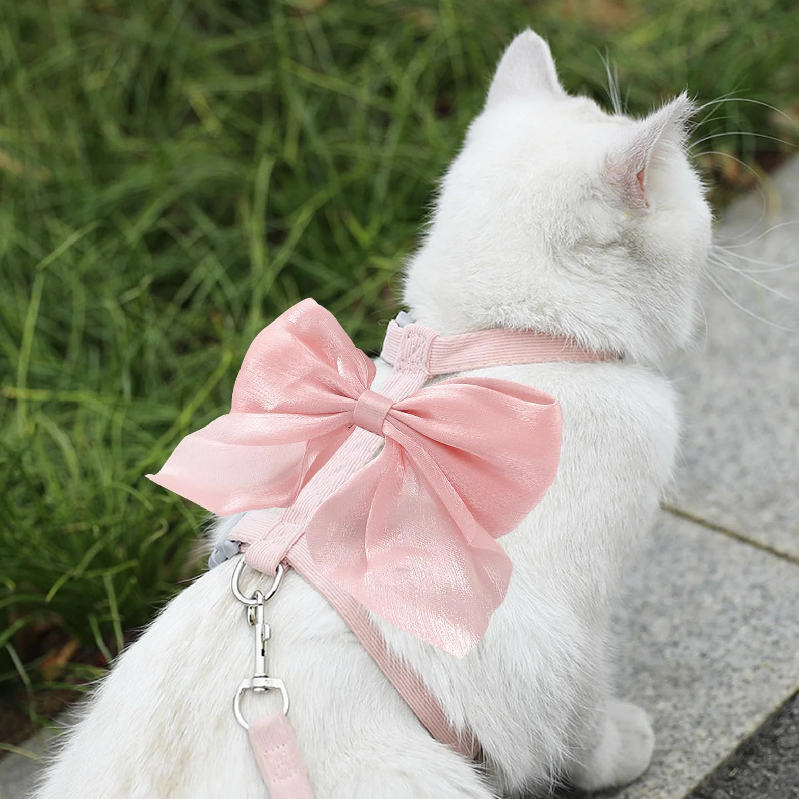 Harnais pour Chat avec Laisse, Réglable, Noeud Rose, pour Chat Chiot Lapin Maine Coon Persan