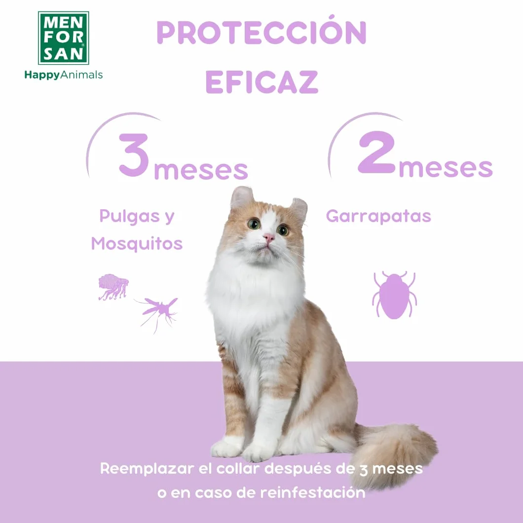 Collier Anti-Insectes Luminescent pour Chats MENFORSAN 30cm Auto-réglable