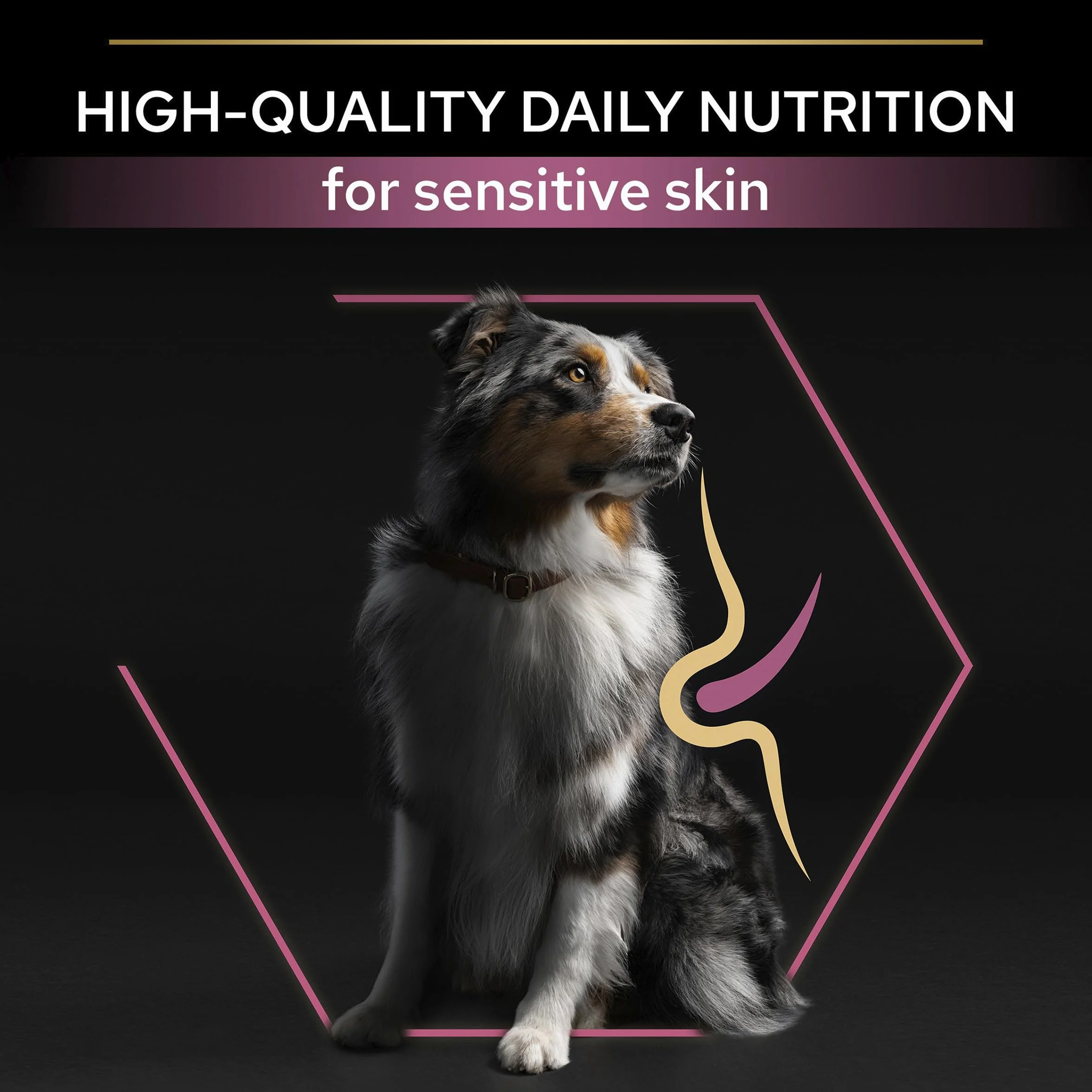 Purina PRO PLAN Aliment Sec Chien Adulte Taille Moyenne Peau Sensible Sans Blé Saumon 14 kg