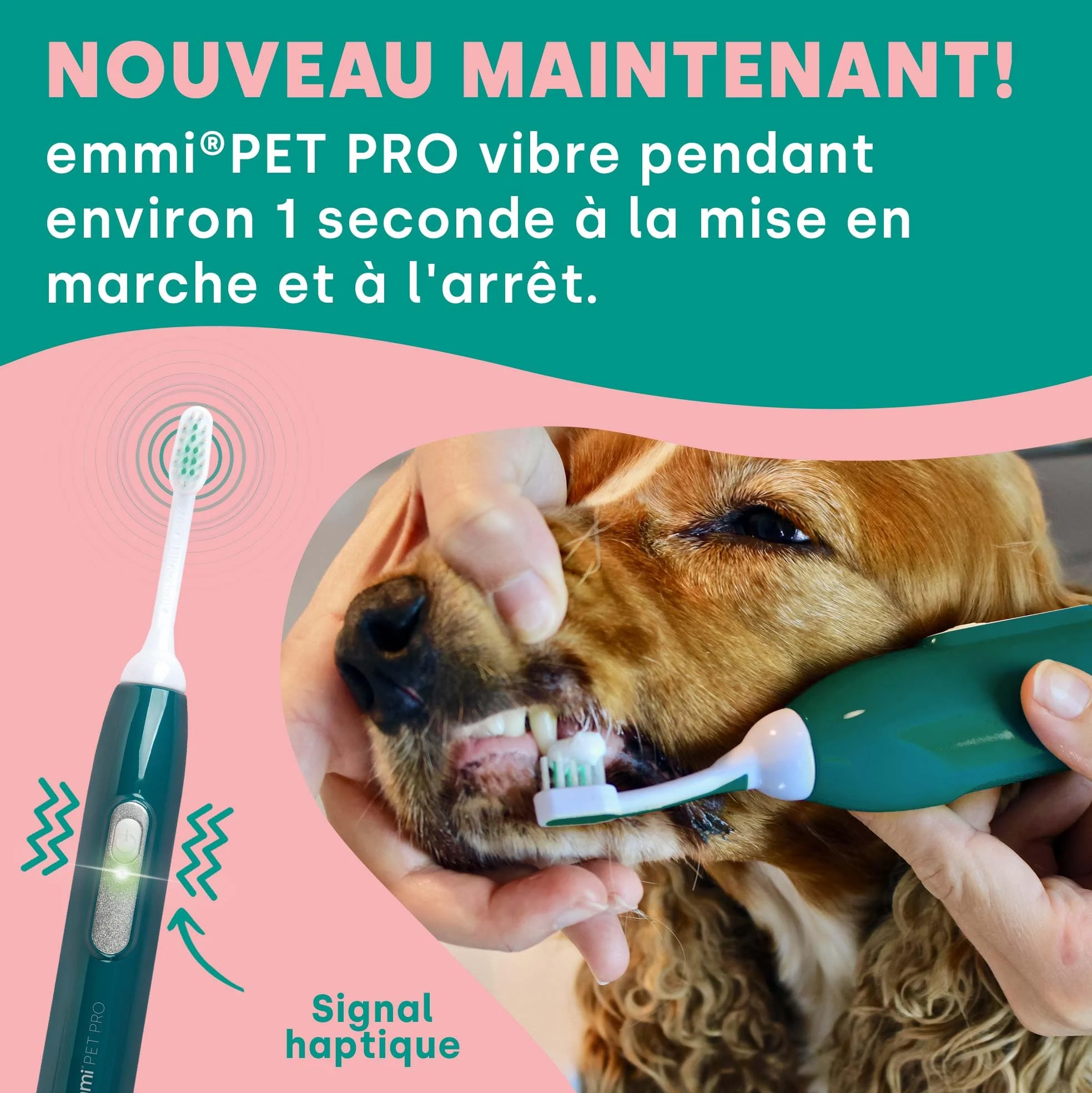 emmi-pet PRO Brosse à dents ultrasonique pour chiens - Brosse à dents silencieuse pour chiens et chats sans frottement avec 96 millions de vibrations - Prévient le tartre et les inflammations