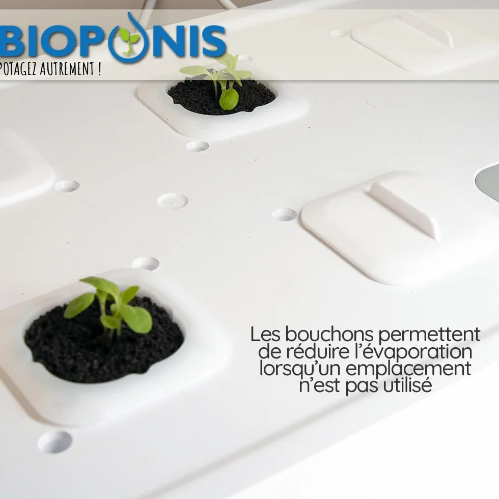 Bouchon Noir pour Potager d'Intérieur Hydroponique - Lot de 10