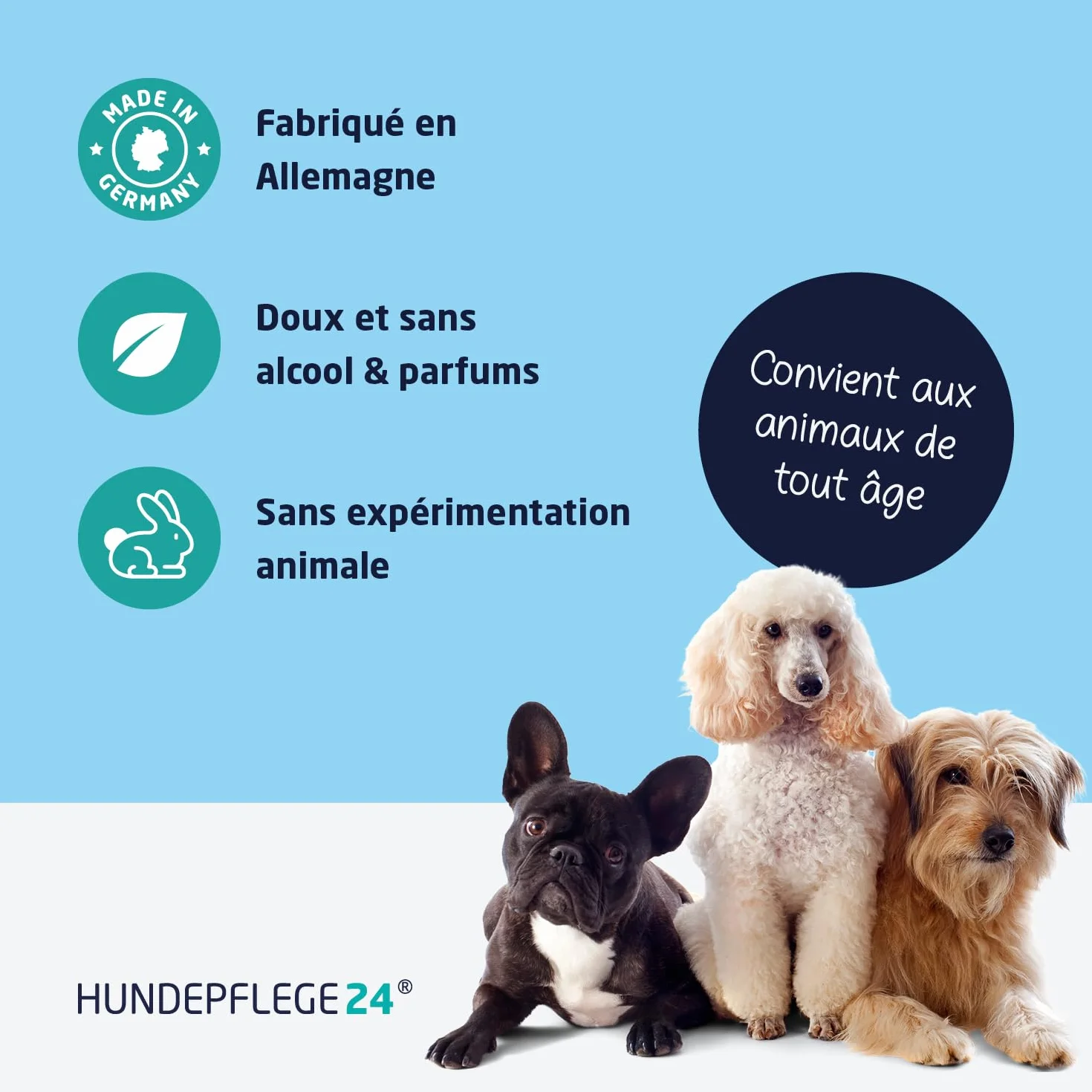 Spray Antiseptique Chien Chat 125ml - Désinfecte Apaise Soigne Protège Blessures Cicatrisant