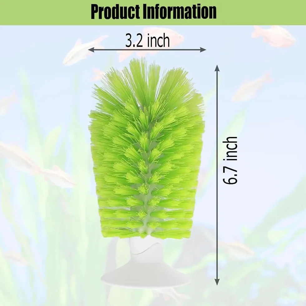 Brosses à tortue ventouse lot de 2 exfoliante rayures dos coquille écailles