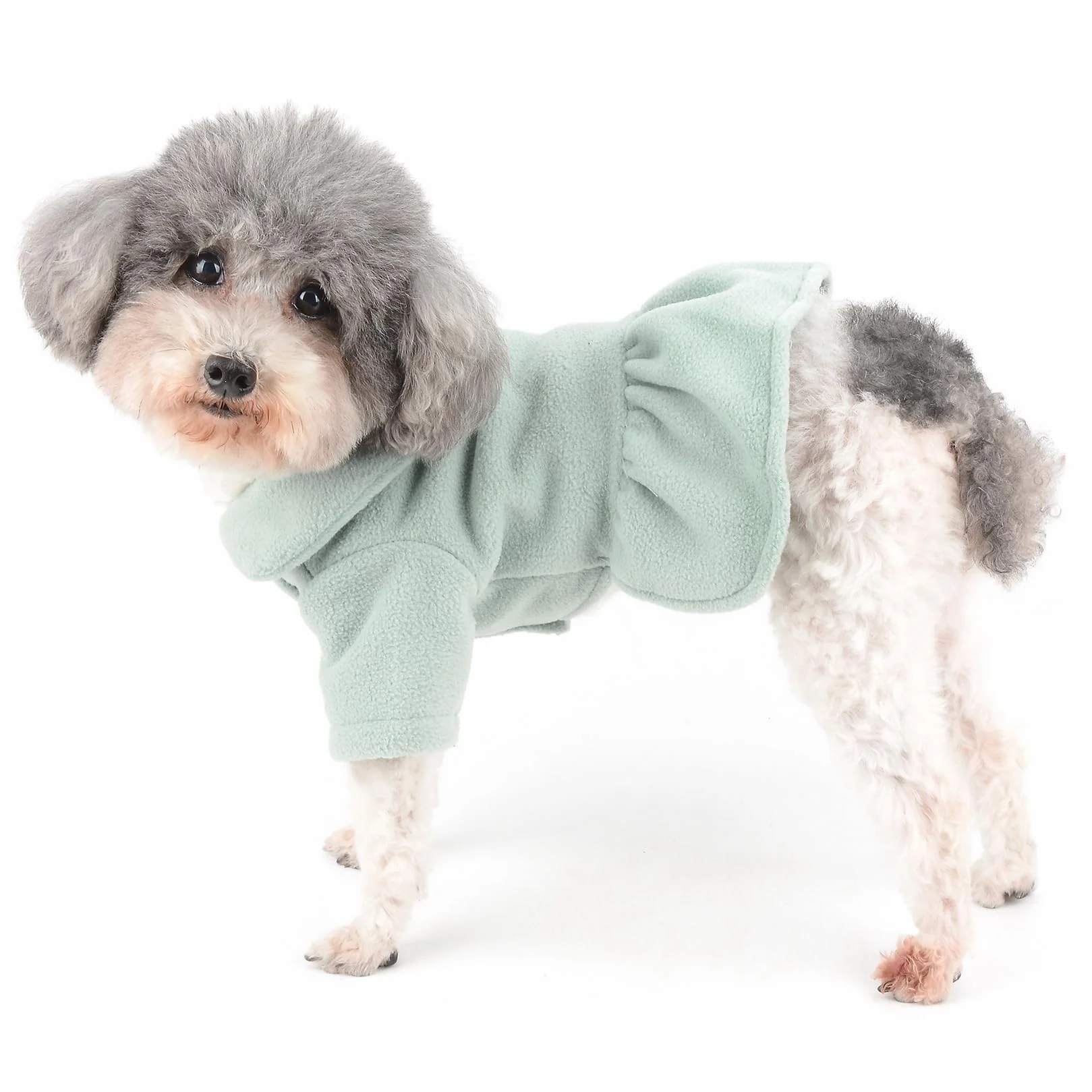 Robe d'hiver pour chiot Zunea, robe de princesse avec anneau en D, chaude pour chihuahua