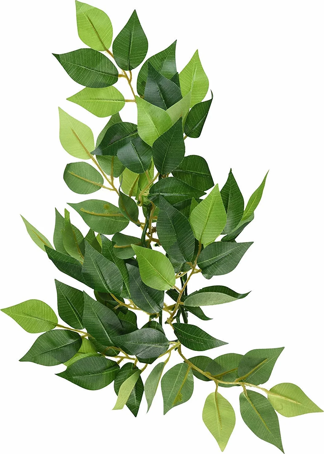 Exoterra Ruscus Plante Petit Modèle Reptiles Amphibiens