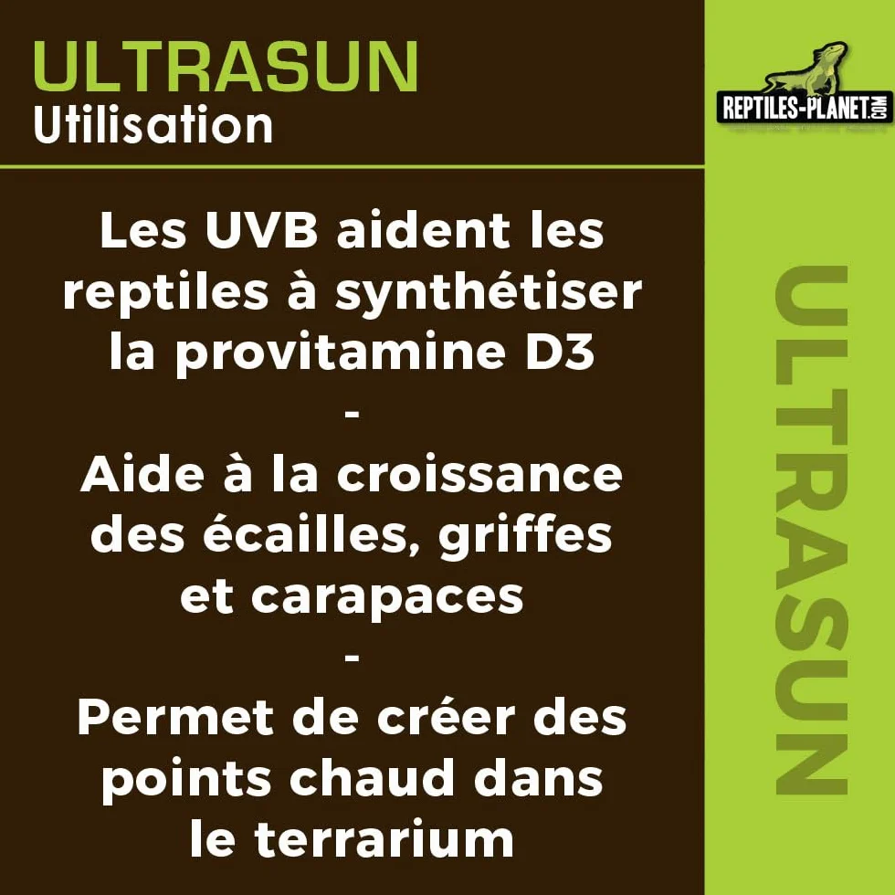 Reptiles Planet Ultrasun 100 W Ampoule UVA UVB pour Reptiles