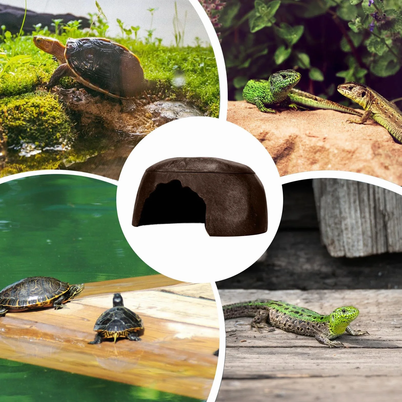 Cachette pour Reptiles, Abri pour Grenouilles, Lézard avec 3 Éviers pour Gecko, Barbu, Dragon