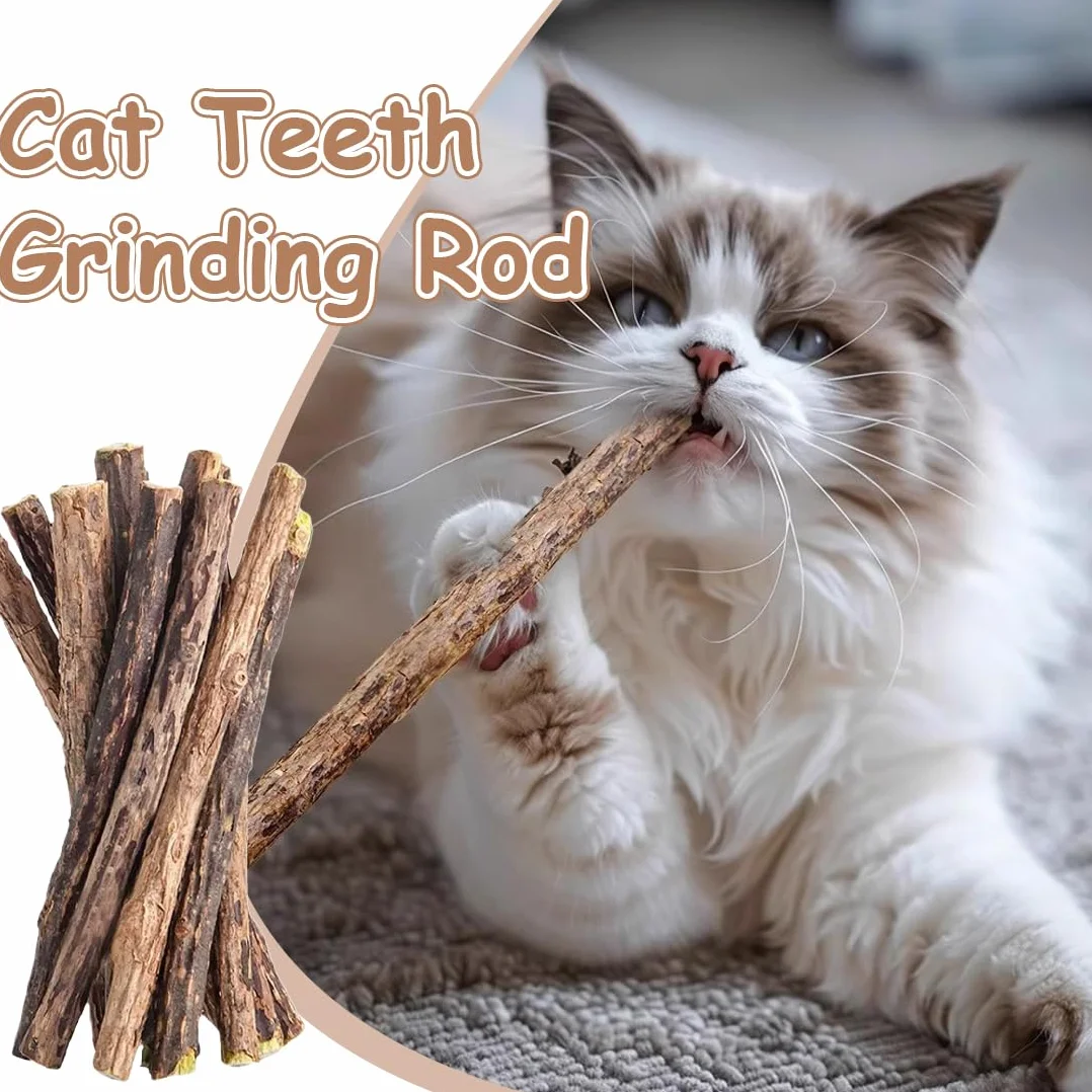 Bâtonnets en Bois de Matatabi pour Chats - 12 Pièces, Jouet Naturel à Mâcher pour l'Hygiène Dentaire, Soin des Dents et Contre la Mauvaise Haleine (Diamètre 0.6-0.8 cm)