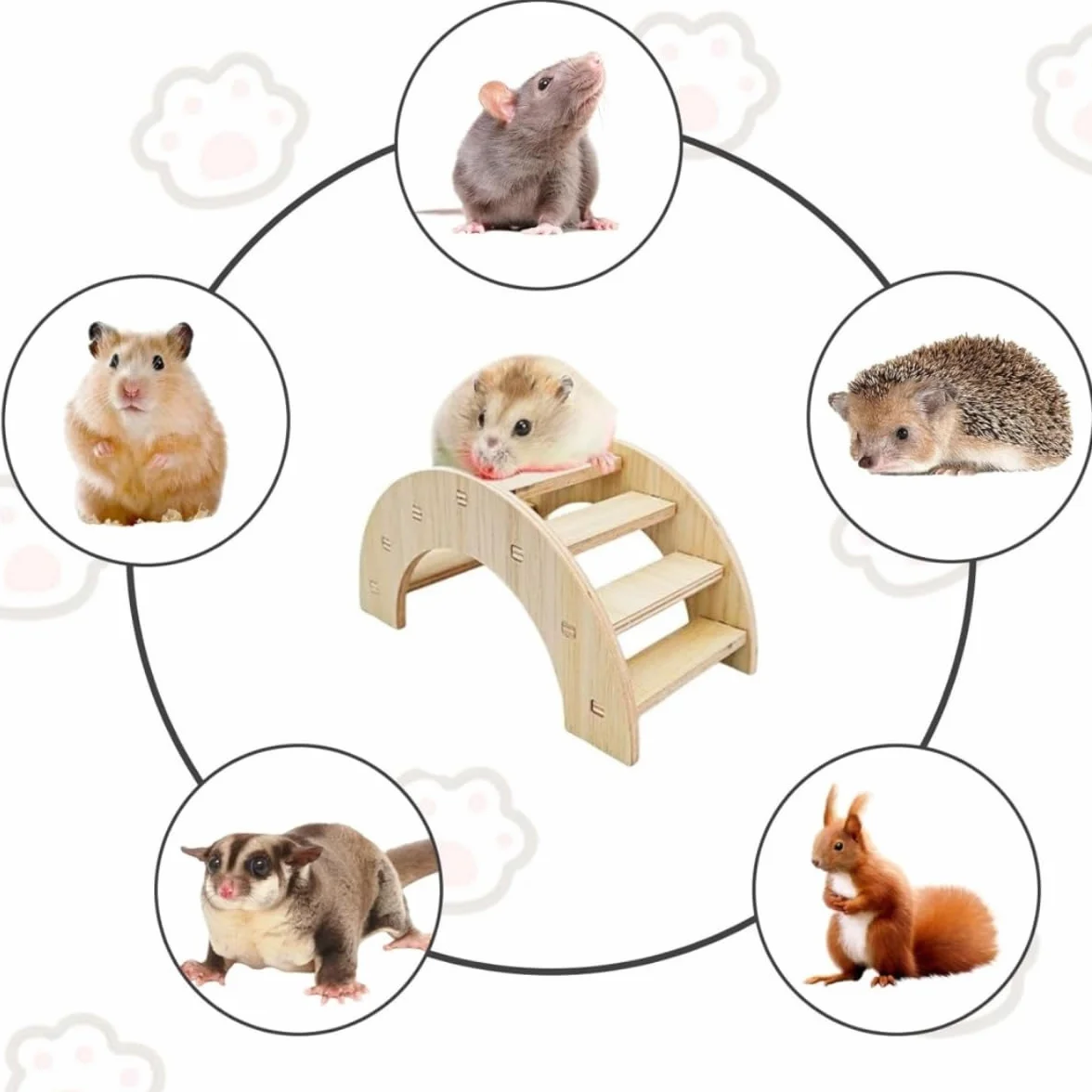 Pont en Bois pour Hamster, Accessoires pour rongeurs, Jouet d'escalade