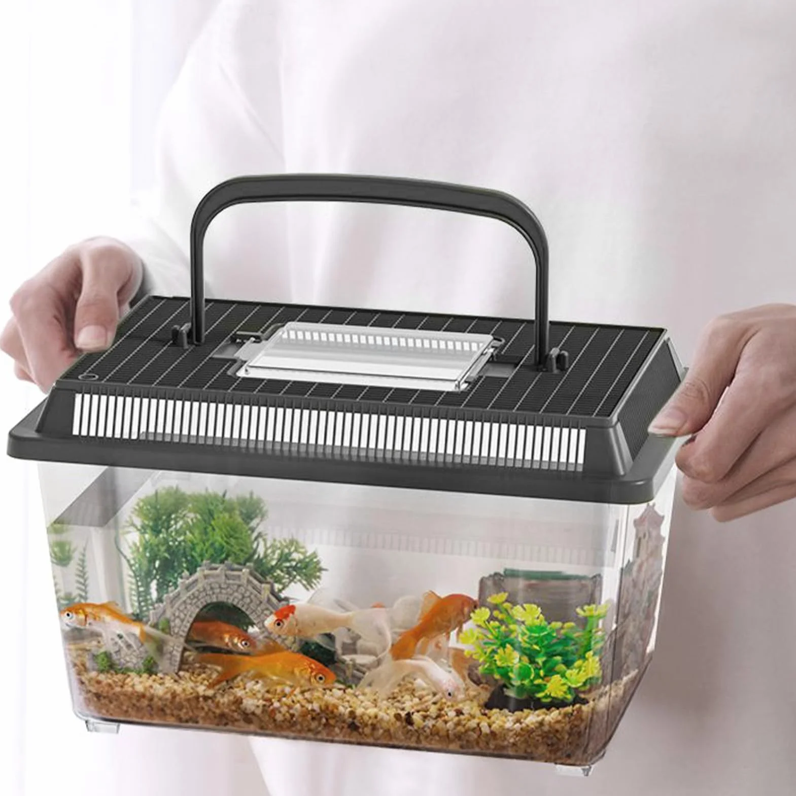 Cage Pour Reptiles – Boîte D'habitat Portable 9,06 Pouces Transporteur Transparent Animaux De Compagnie Récipient D'alimentation 400 G Plastique PET Léger