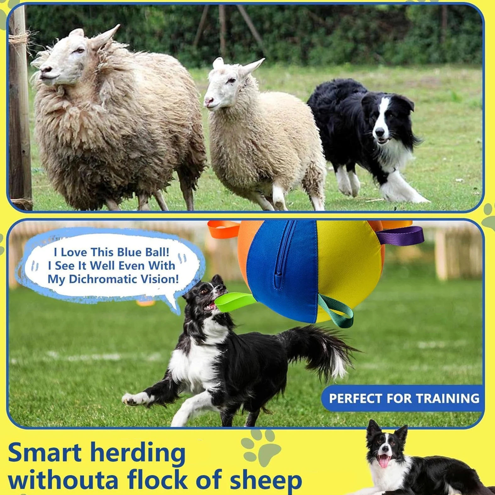 Herding Balle flottante géante pour chien avec pompe | Jouets interactifs pour chien de troupeau pour parc, jardin, pelouse, piscine, entraînement d'exercice
