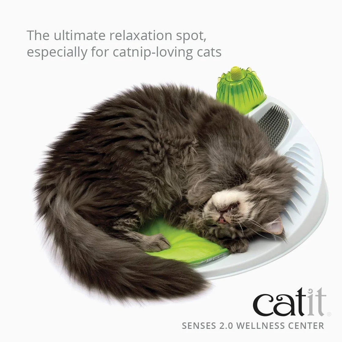 Catit Senses Station de Massage pour Chat, Vert