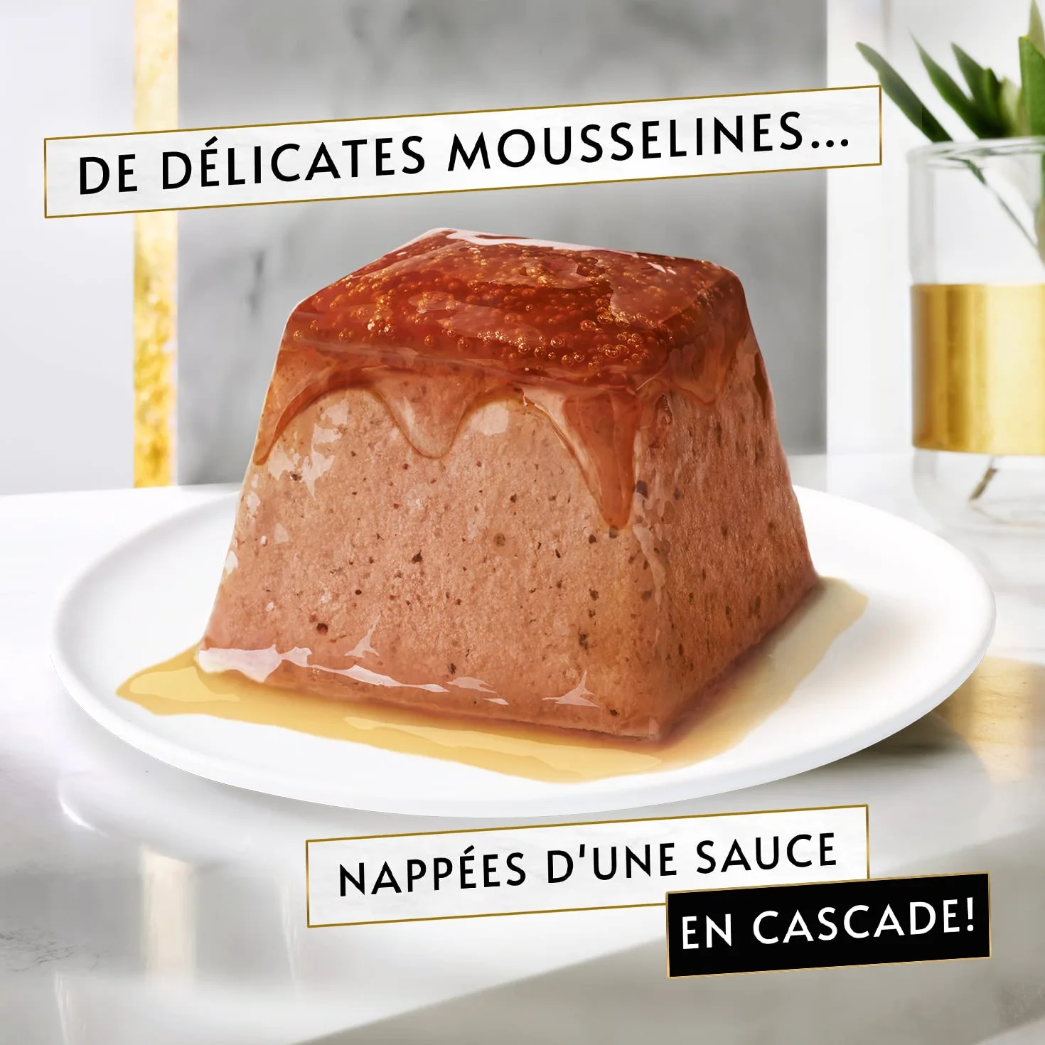 Gourmet Revelations Mousseline Thon Saumon 48x57g
