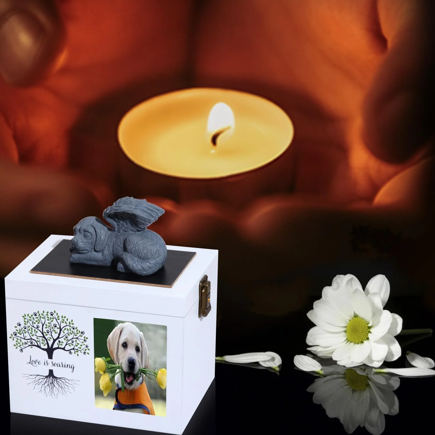 Urne funéraire pour Chien ou Chat en Bois avec Cadre Photo - Boîte à Souvenirs Doublure Flanelle Noire
